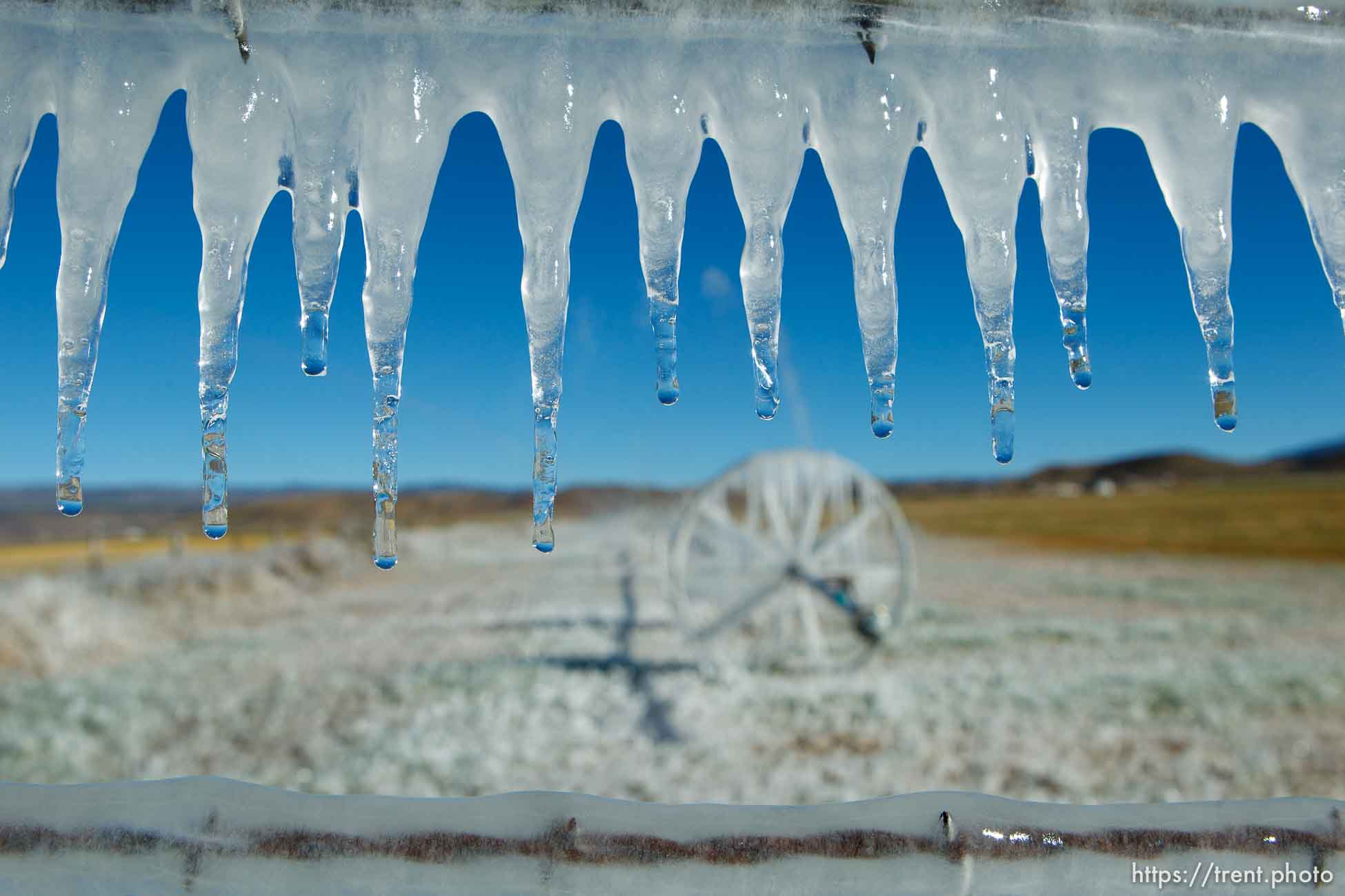 ice forms as a field is irrigated near Loa Sunday, October 6, 2013.