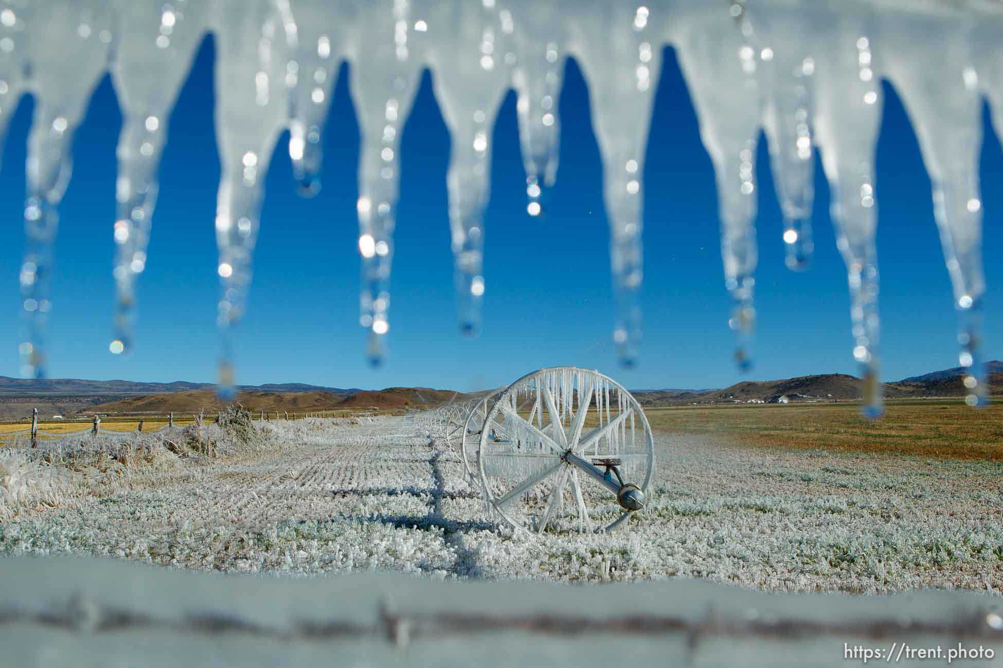 ice forms as a field is irrigated near Loa Sunday, October 6, 2013.