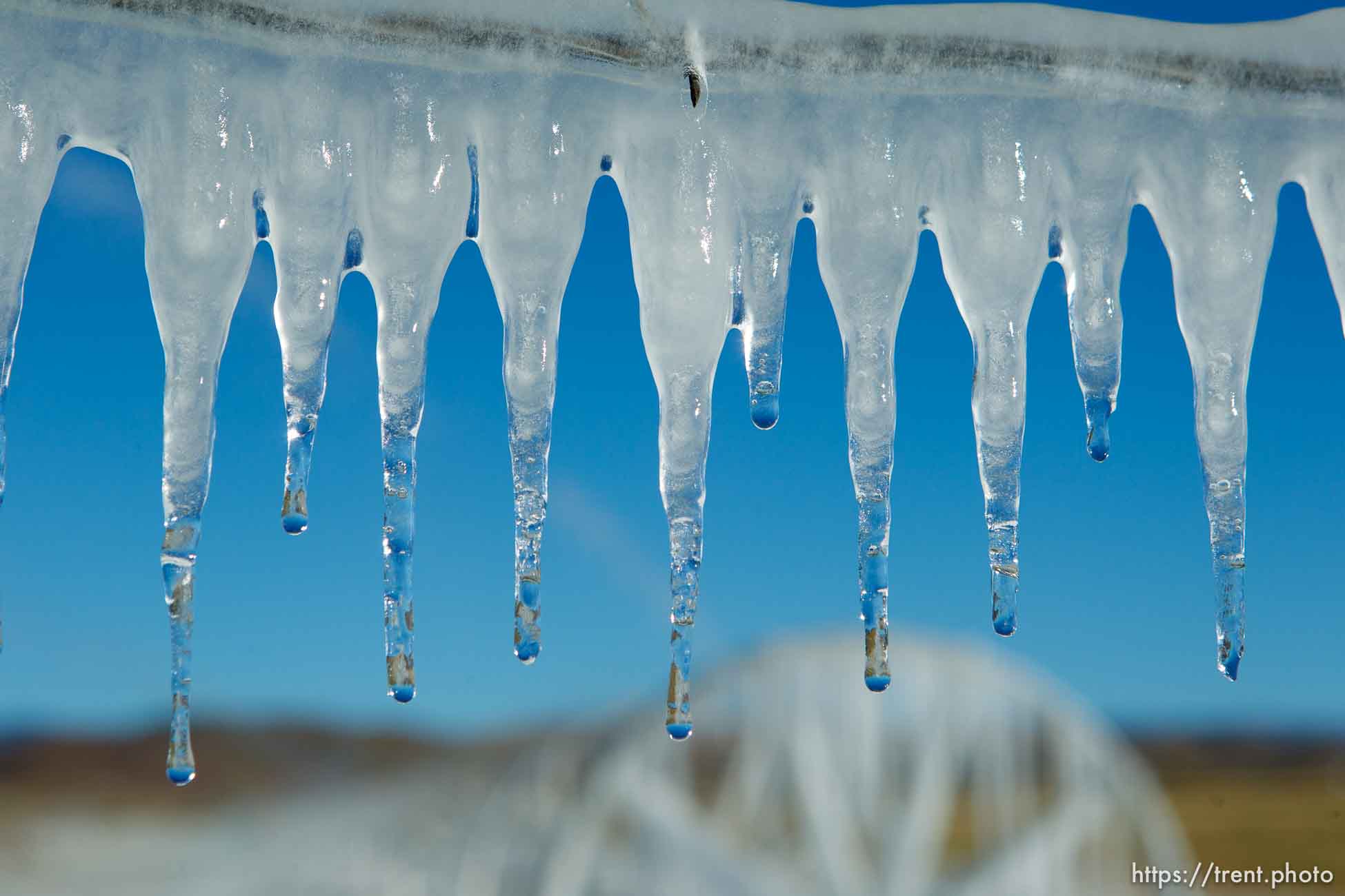 ice forms as a field is irrigated near Loa Sunday, October 6, 2013.