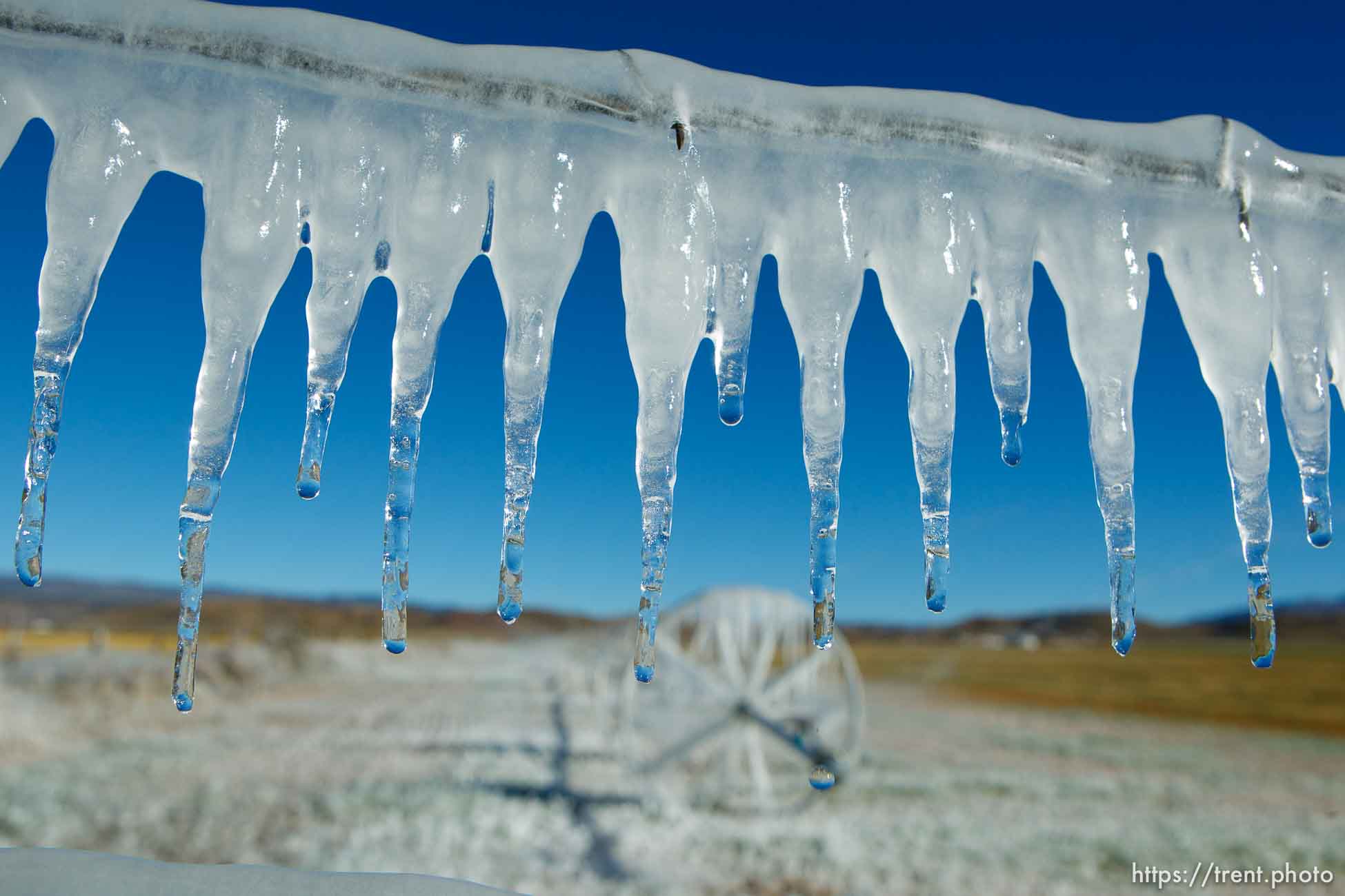 ice forms as a field is irrigated near Loa Sunday, October 6, 2013.