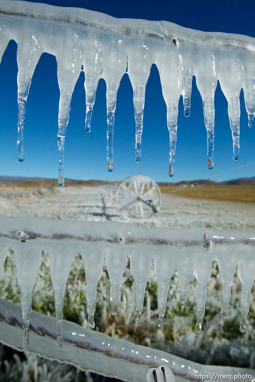 ice forms as a field is irrigated near Loa Sunday, October 6, 2013.