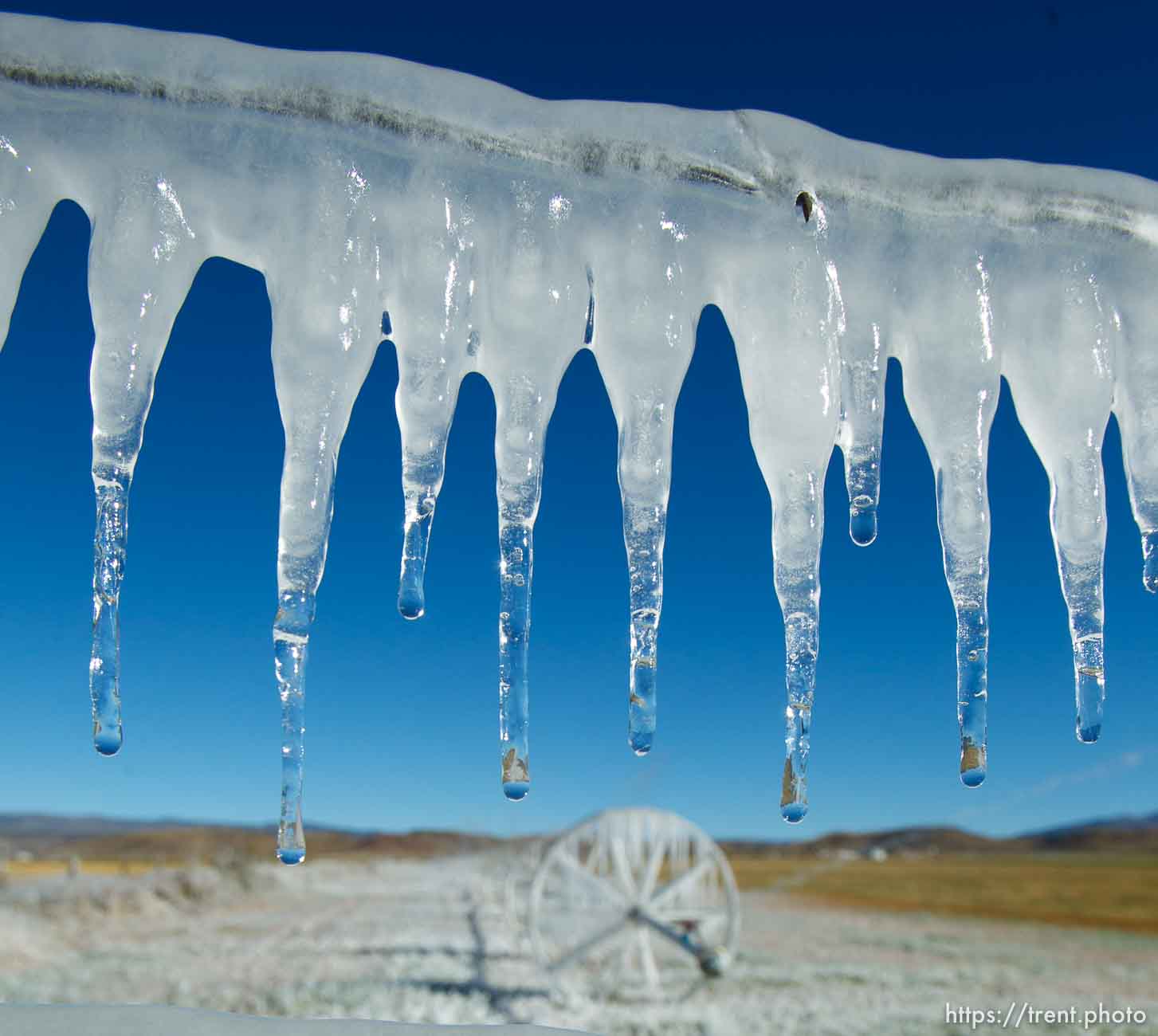 Trent Nelson  |  The Salt Lake Tribune
Ice forms as fields are irrigated near Loa, Sunday, October 6, 2013.