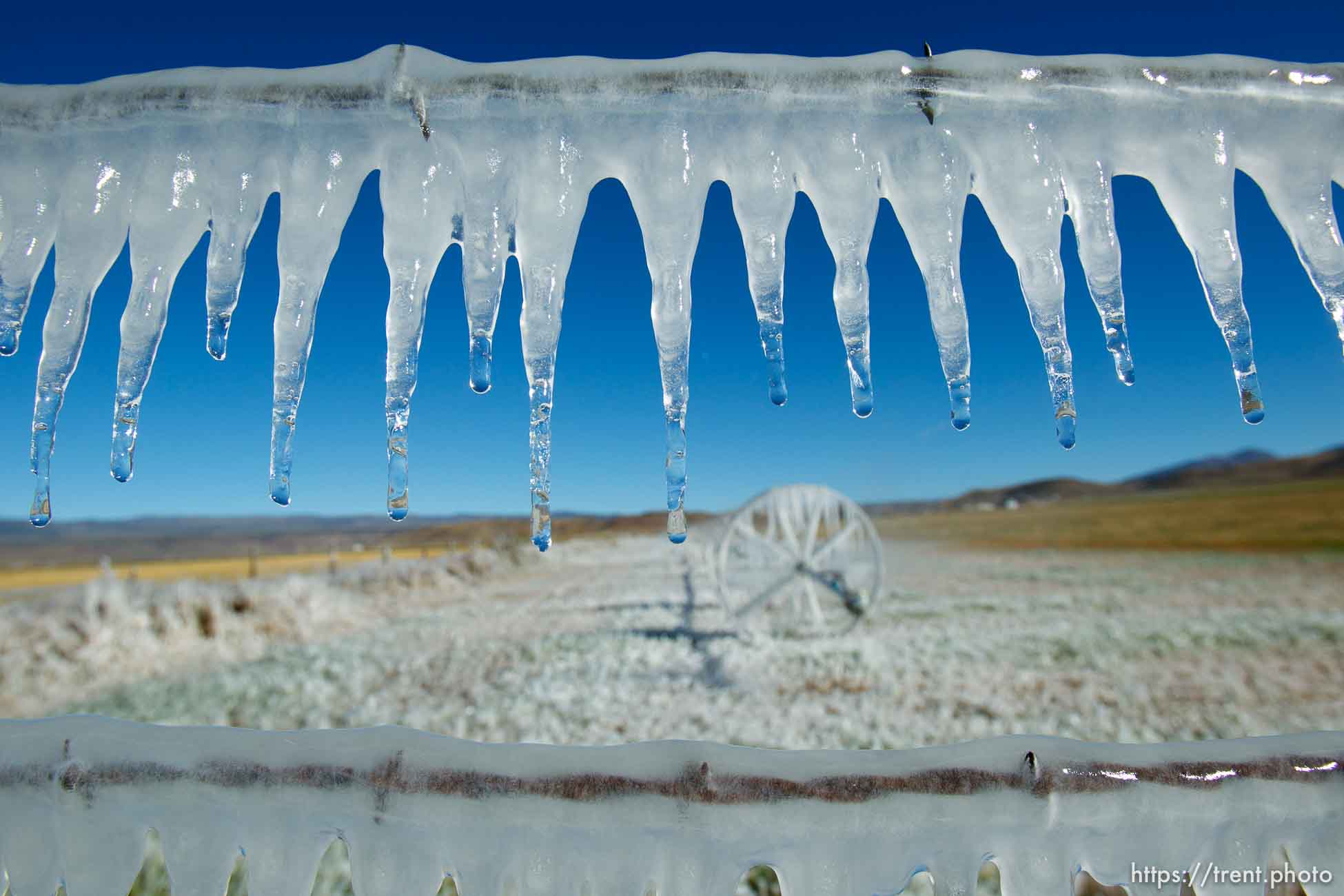 ice forms as a field is irrigated near Loa Sunday, October 6, 2013.