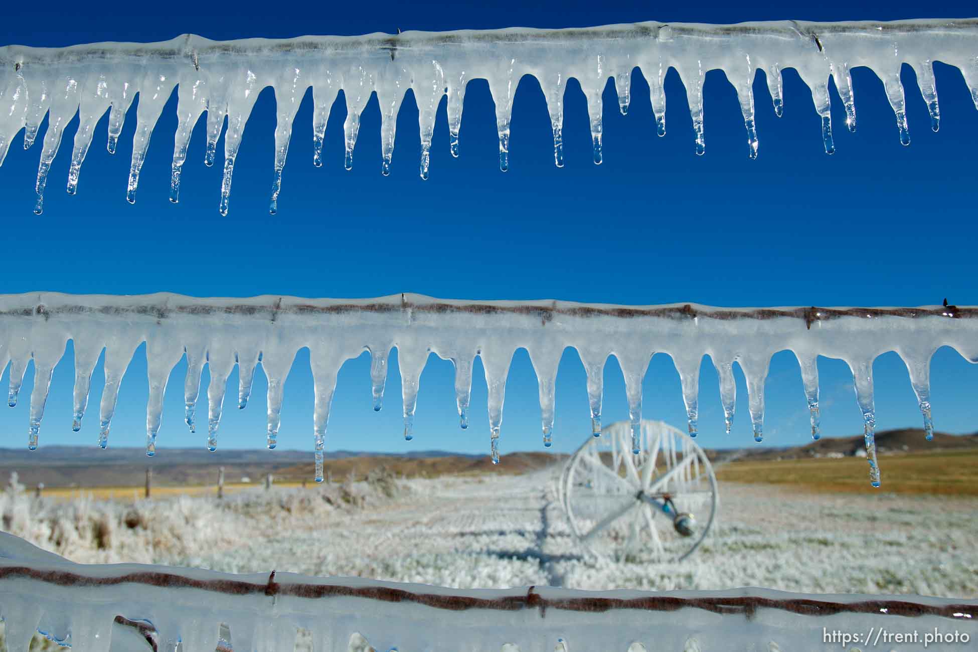 ice forms as a field is irrigated near Loa Sunday, October 6, 2013.