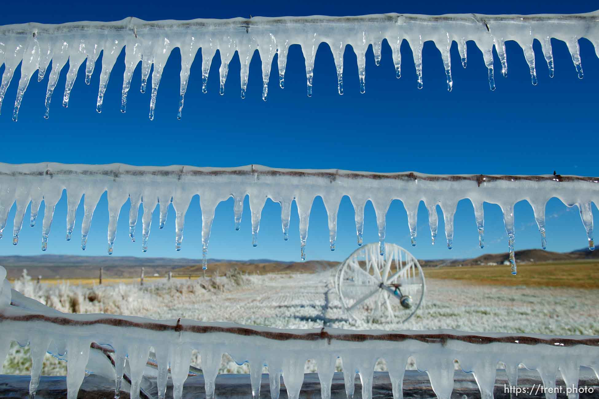 Trent Nelson  |  The Salt Lake Tribune
Ice forms as fields are irrigated near Loa, Sunday, October 6, 2013.