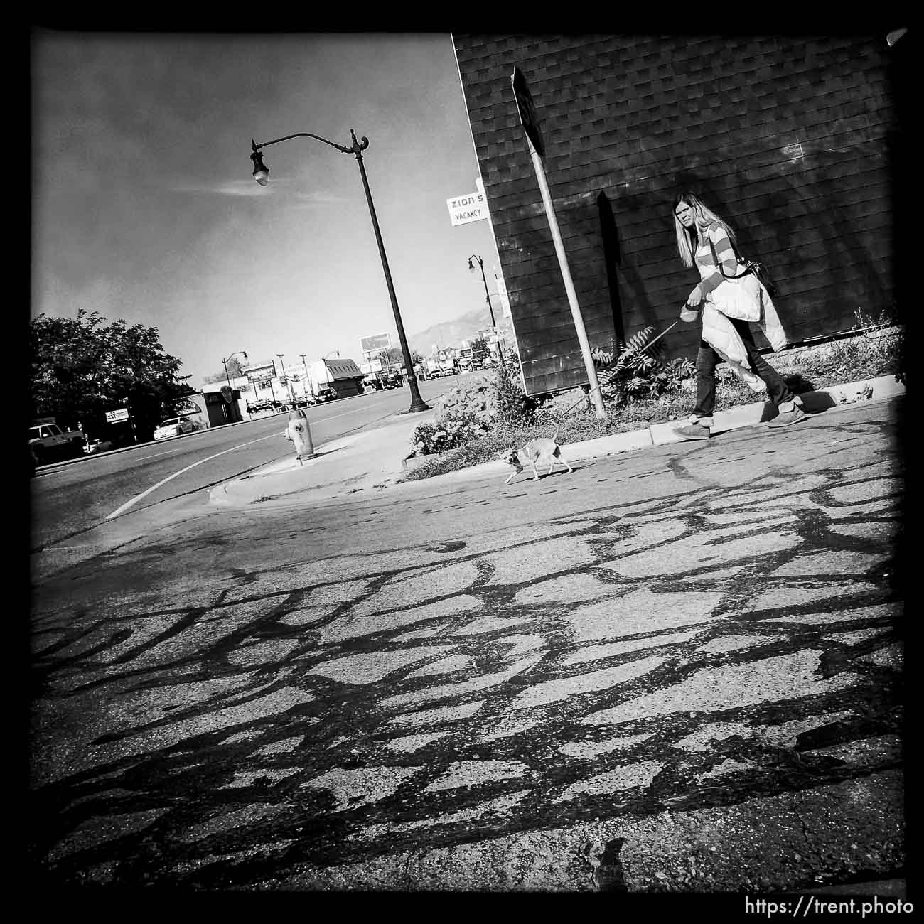 couple walking dog along State Street, Monday October 21, 2013.