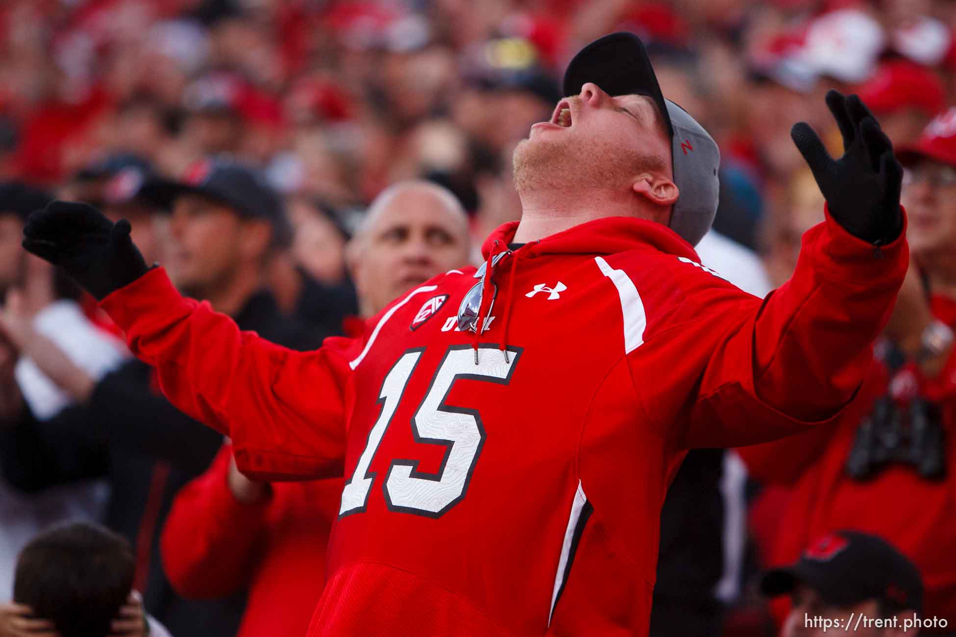 Trent Nelson  |  The Salt Lake Tribune
A Utah fan reacts to the game as the University of Utah hosts Arizona State, college football at Rice-Eccles Stadium in Salt Lake City, Saturday November 9, 2013.