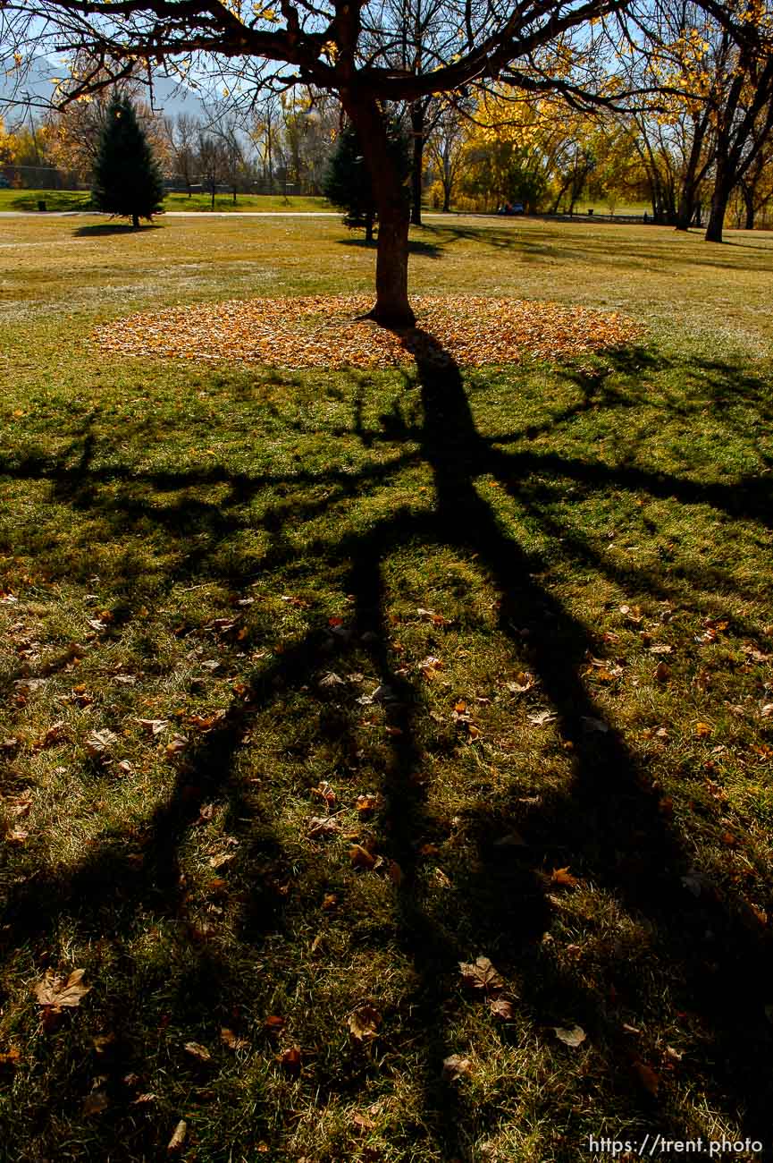 Trent Nelson  |  The Salt Lake Tribune
A circle of leaves in the fall setting of Sugar House Park, in Salt Lake City, Tuesday November 12, 2013.