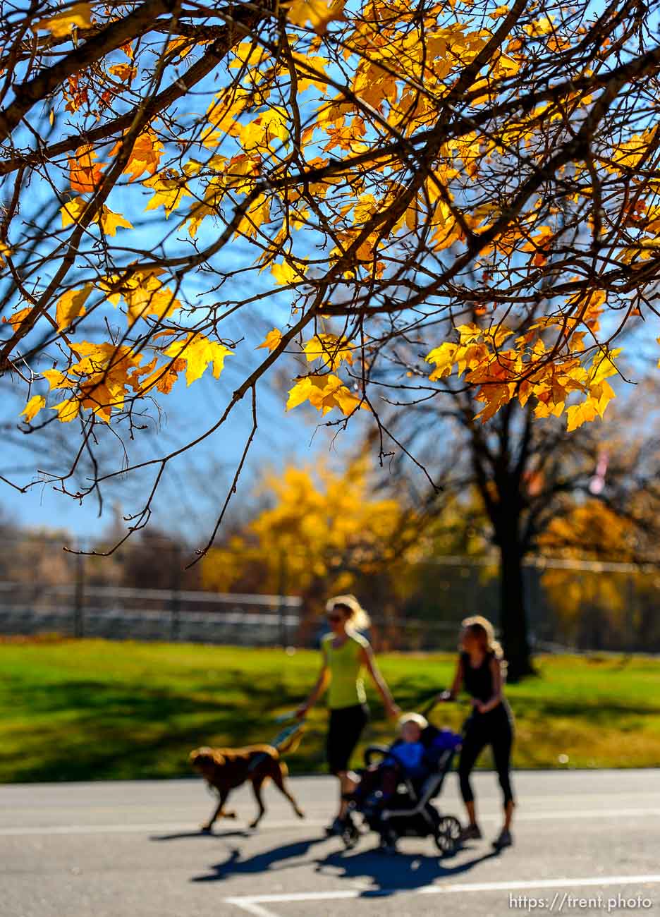 Trent Nelson  |  The Salt Lake Tribune
People walking in the fall setting of Sugar House Park, in Salt Lake City, Tuesday November 12, 2013.