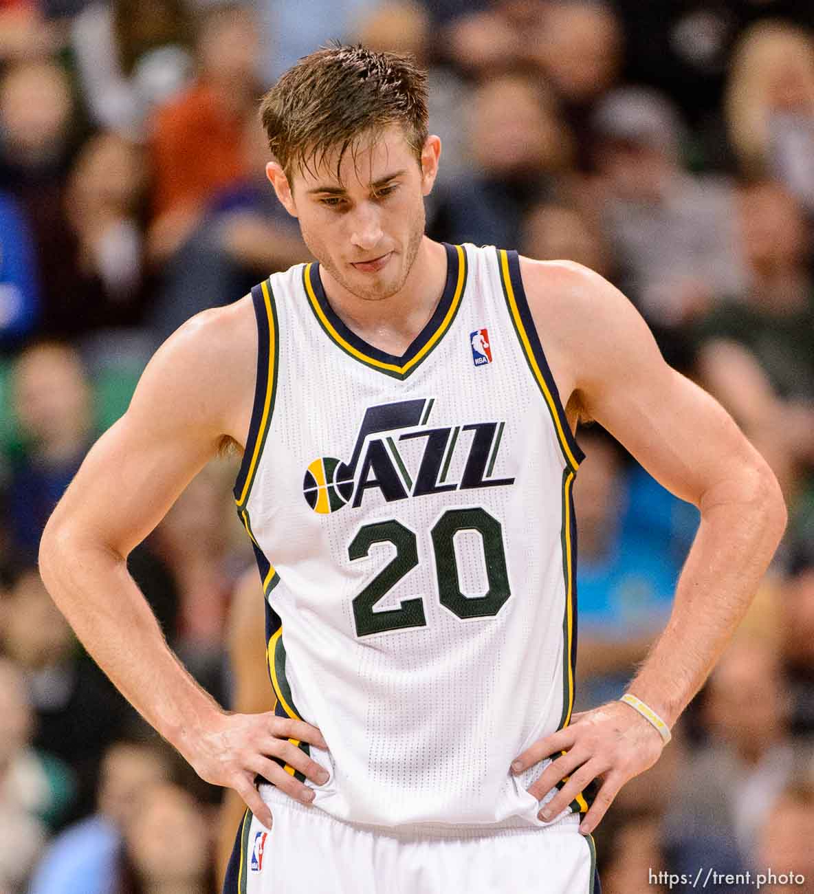 Trent Nelson  |  The Salt Lake Tribune
Utah Jazz shooting guard Gordon Hayward (20) as the Jazz face the New Orleans Pelicans, NBA basketball at EnergySolutions Arena in Salt Lake City, Wednesday November 13, 2013.