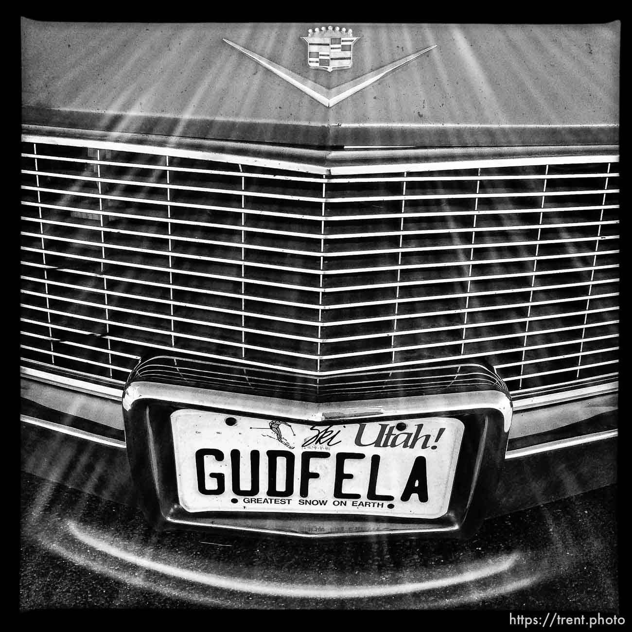 gudfela license plate on cadillac, along State Street, Monday November 18, 2013.