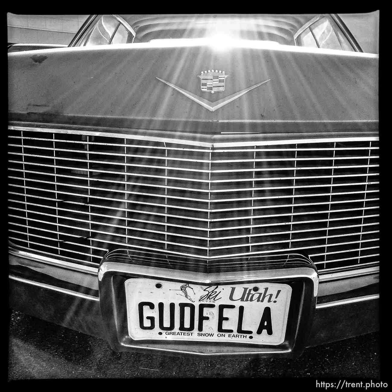 gudfela license plate on cadillac, along State Street, Monday November 18, 2013.