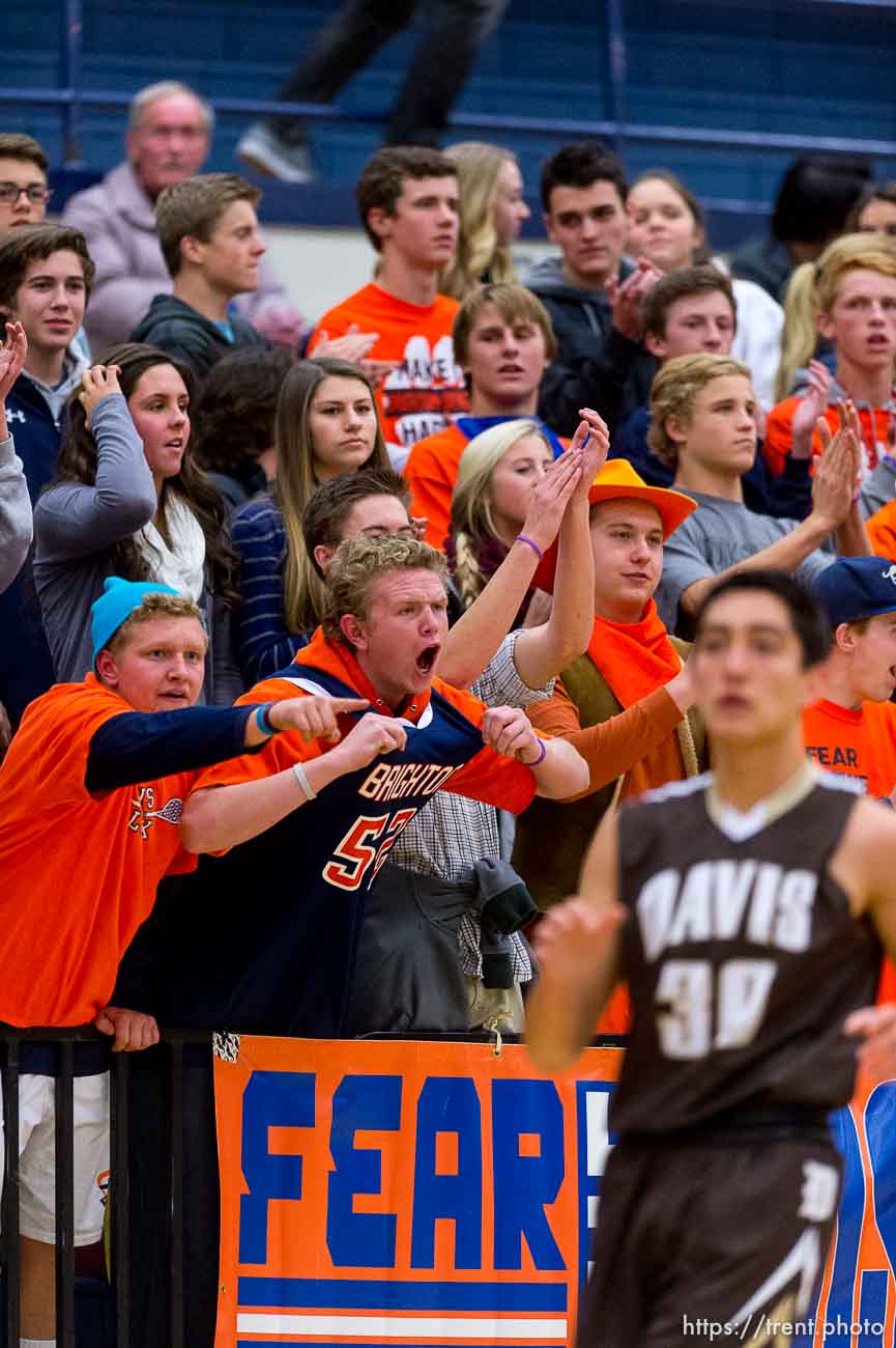 Trent Nelson  |  The Salt Lake Tribune
Brighton fans cheer as Brighton hosts Davis High School, boys basketball in Sandy, Wednesday December 4, 2013.