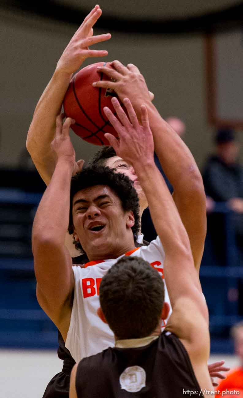 Trent Nelson  |  The Salt Lake Tribune
Brighton's Osa Masina, defended by Davis's Jaydon Ryan and Caleb Leonhardt, rear, as Brighton hosts Davis High School, boys basketball in Sandy, Wednesday December 4, 2013.