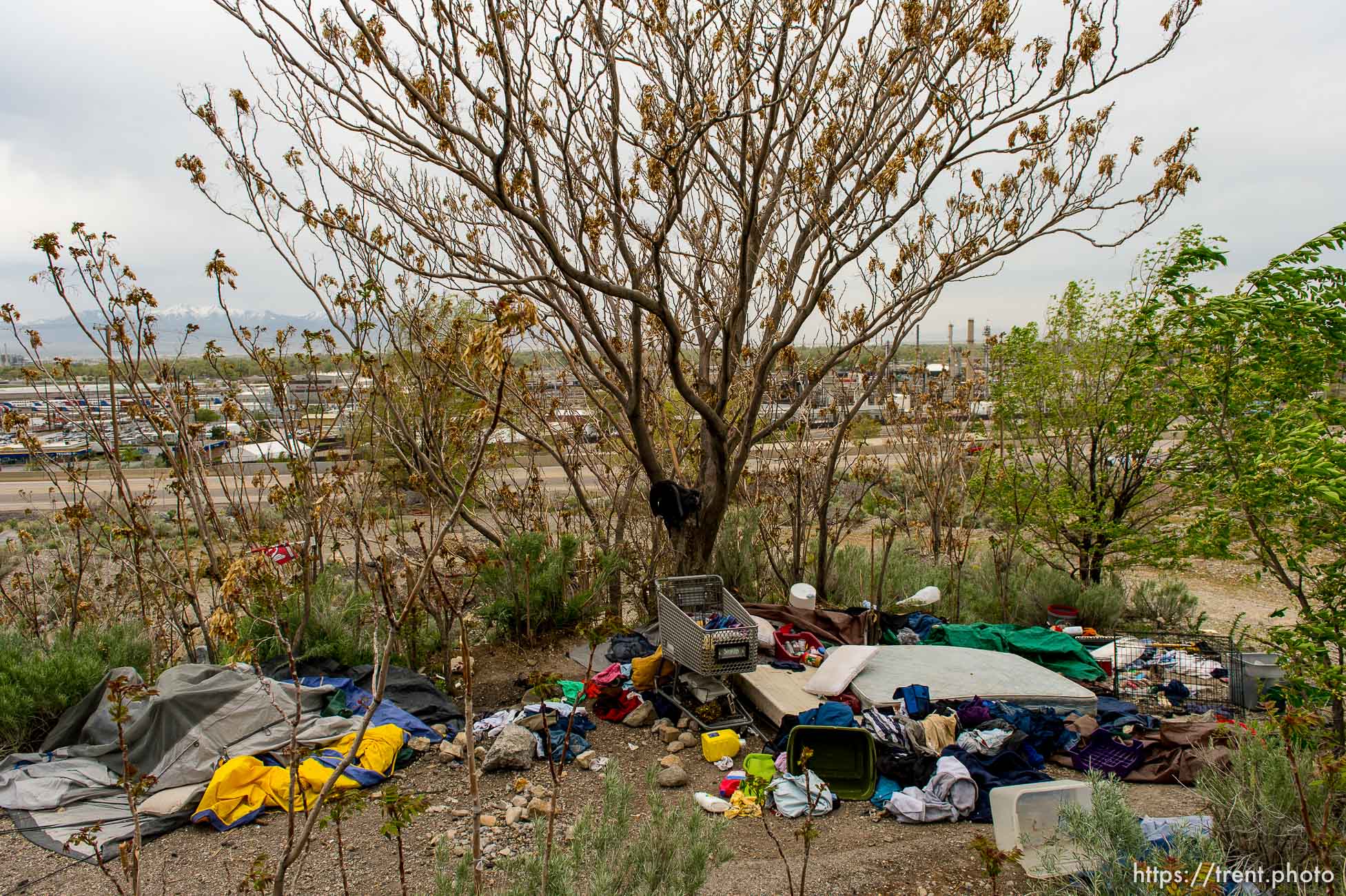 Trent Nelson  |  The Salt Lake Tribune
A homeless encampment on the north side of Salt Lake City, Tuesday April 22, 2014. Salt Lake County Health Department and inmates doing community service spent the day cleaning out homeless encampments.