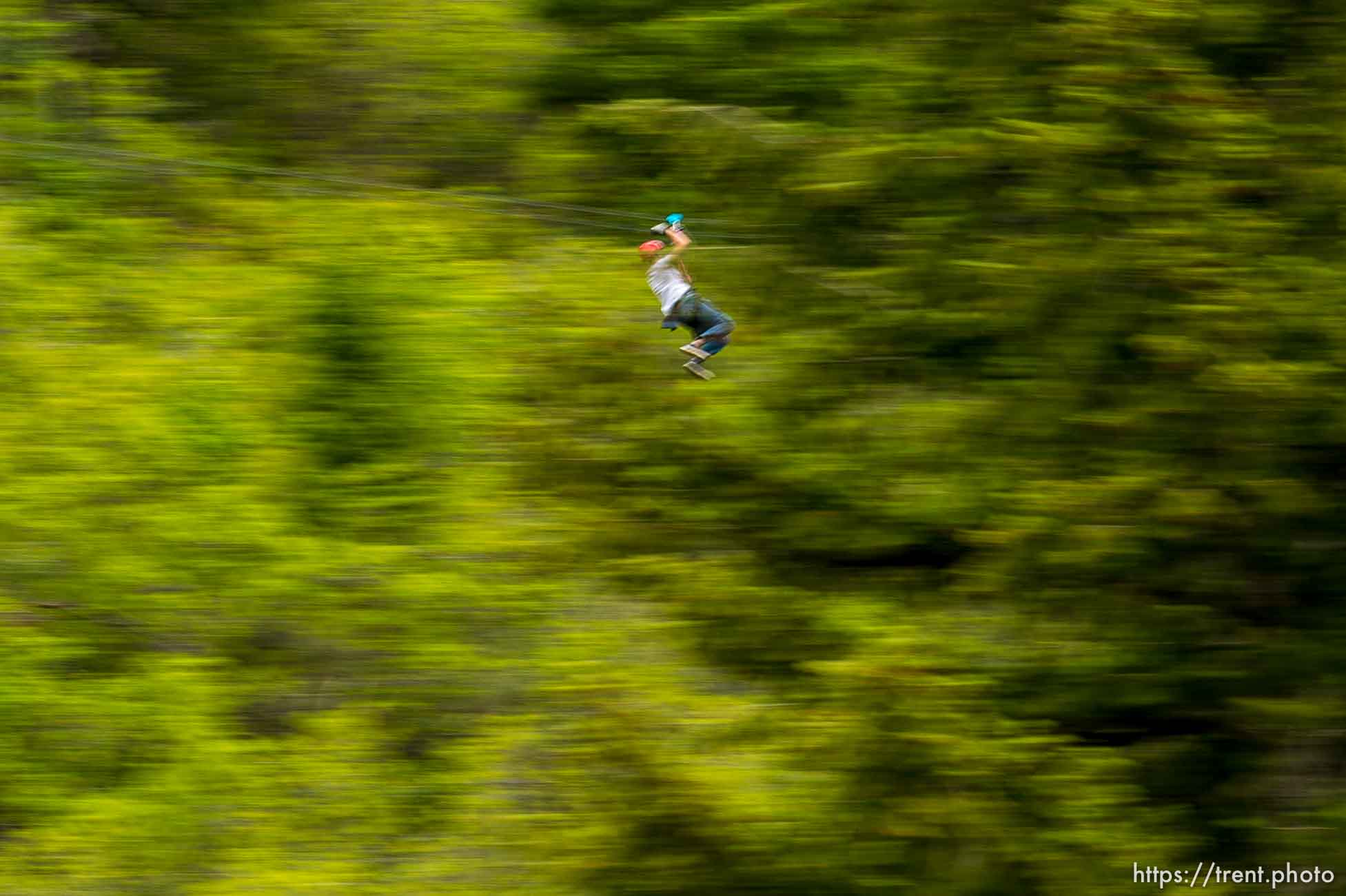 Trent Nelson  |  The Salt Lake Tribune
A rider takes flight above the trees at Max Zipline, in Provo Canyon, Saturday May 31, 2014.