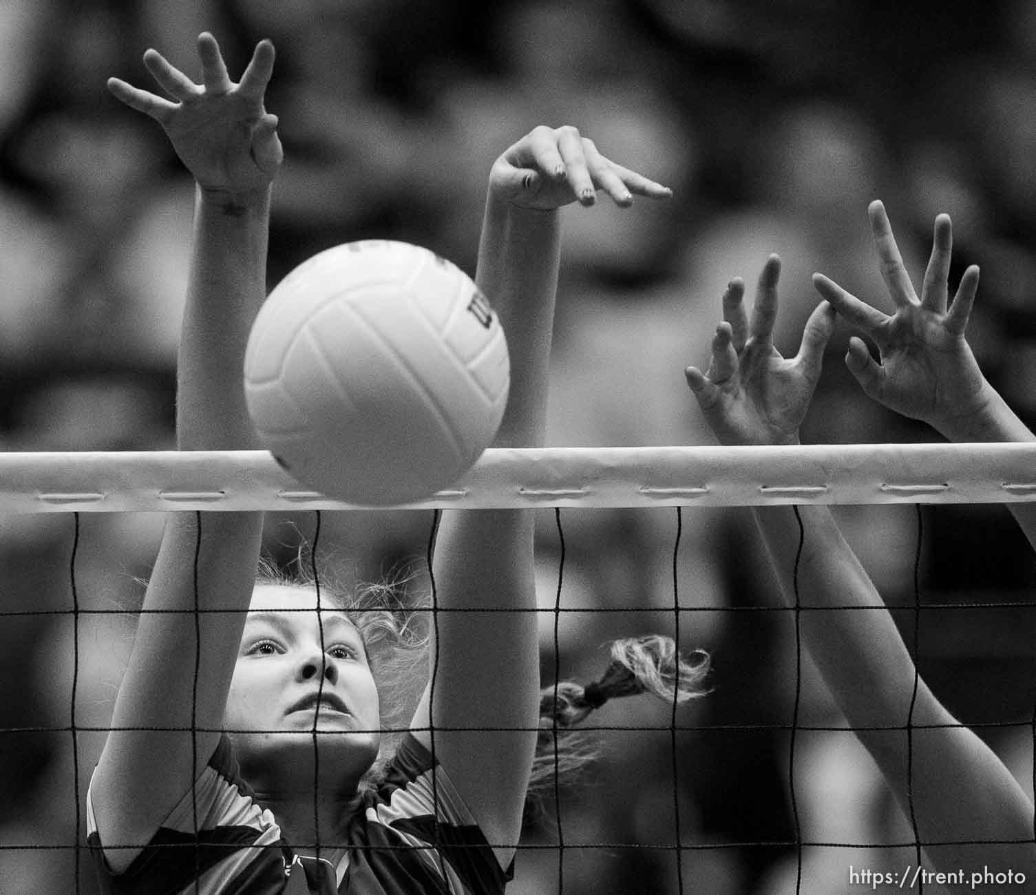 Trent Nelson  |  The Salt Lake Tribune
Panguitch's Darri Frandsen (10) makes a block as Panguitch faces Piute High School in the championship match of the State 1A Volleyball Tournament at Utah Valley University in Provo, Saturday November 1, 2014.