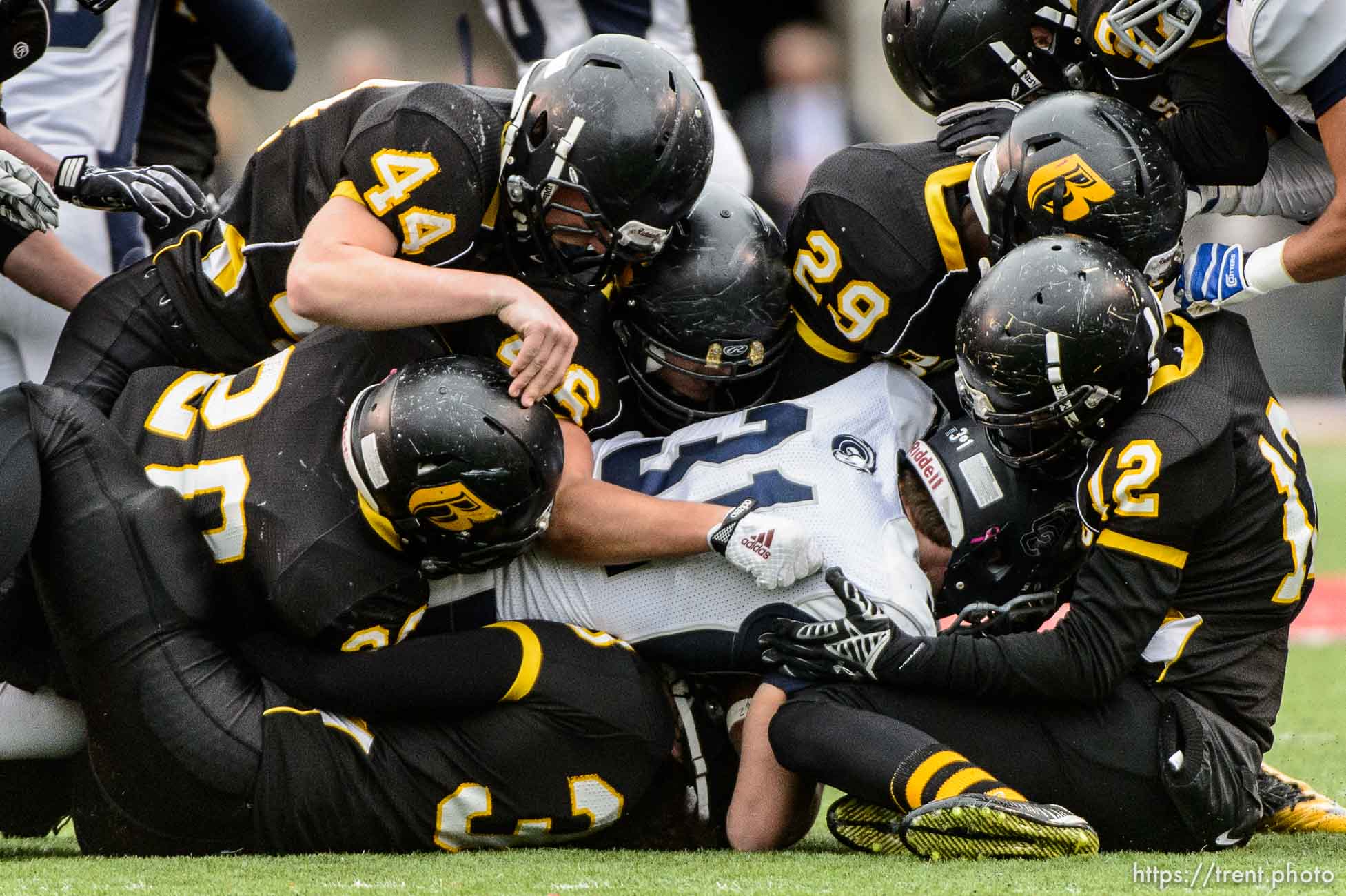 Trent Nelson  |  The Salt Lake Tribune
Roy defenders bring down Corner Canyon's Cameron Forte as Corner Canyon faces Roy High School in a  4A state football semifinal game at Rice-Eccles Stadium in Salt Lake City, Friday November 14, 2014.