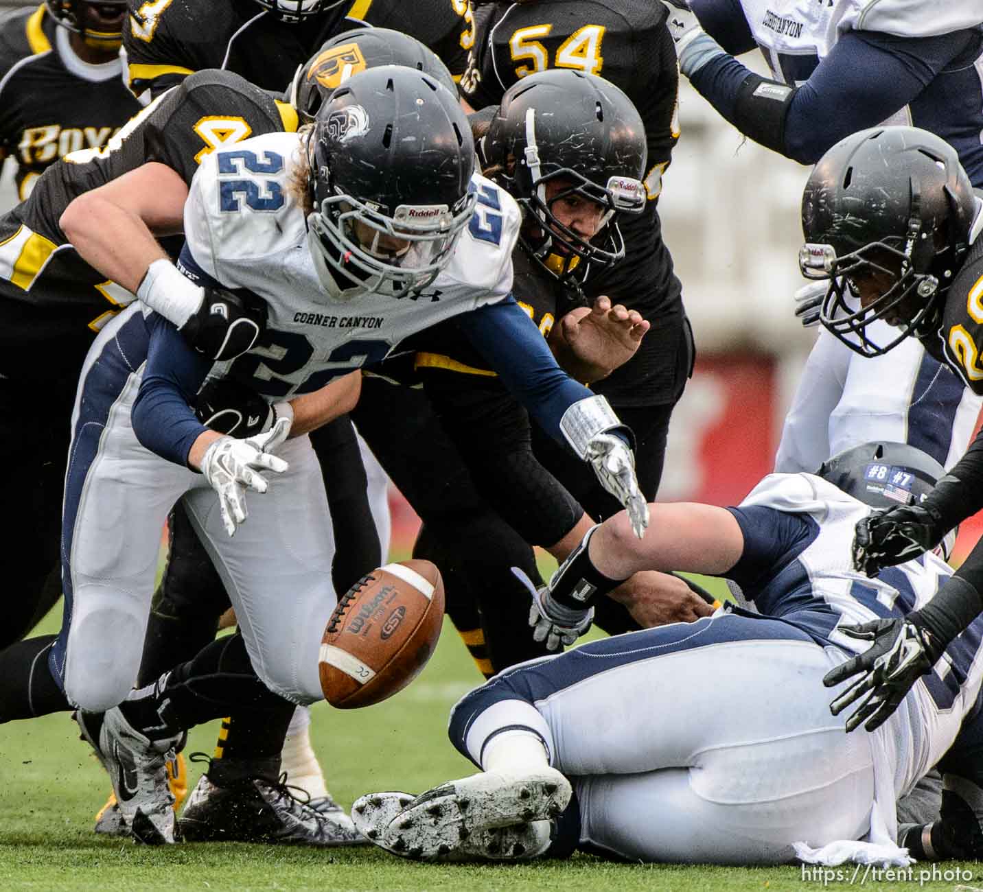 Trent Nelson  |  The Salt Lake Tribune
Corner Canyon's Matthew Ogden reaches out to recover his own fumble as Corner Canyon faces Roy High School in a  4A state football semifinal game at Rice-Eccles Stadium in Salt Lake City, Friday November 14, 2014.