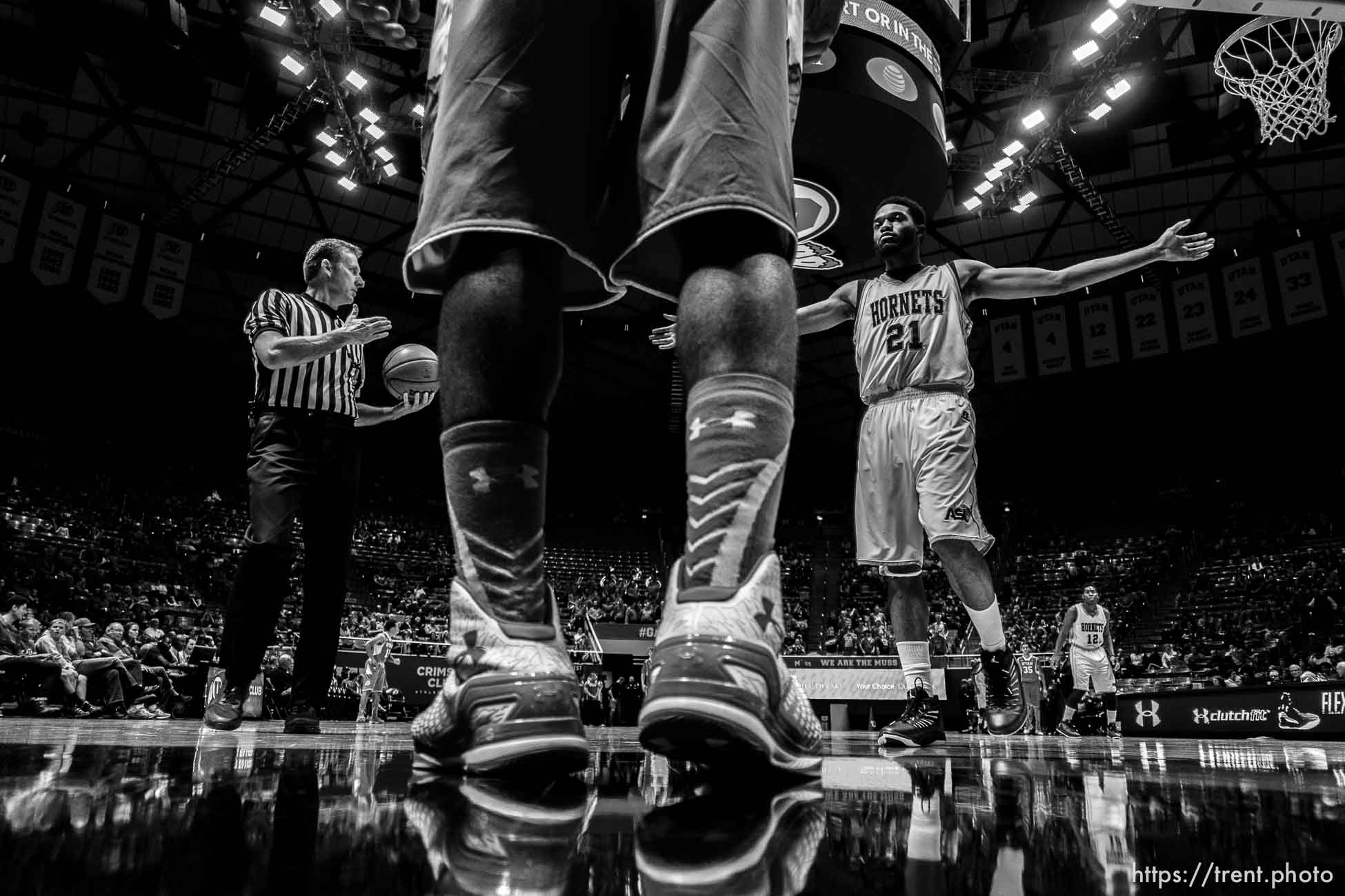 Trent Nelson  |  The Salt Lake Tribune
Alabama State Hornets guard Jamar Pope (21) defending the inbound pass as the University of Utah Utes host the Alabama State Hornets, college basketball at the Huntsman Center in Salt Lake City, Saturday November 29, 2014.