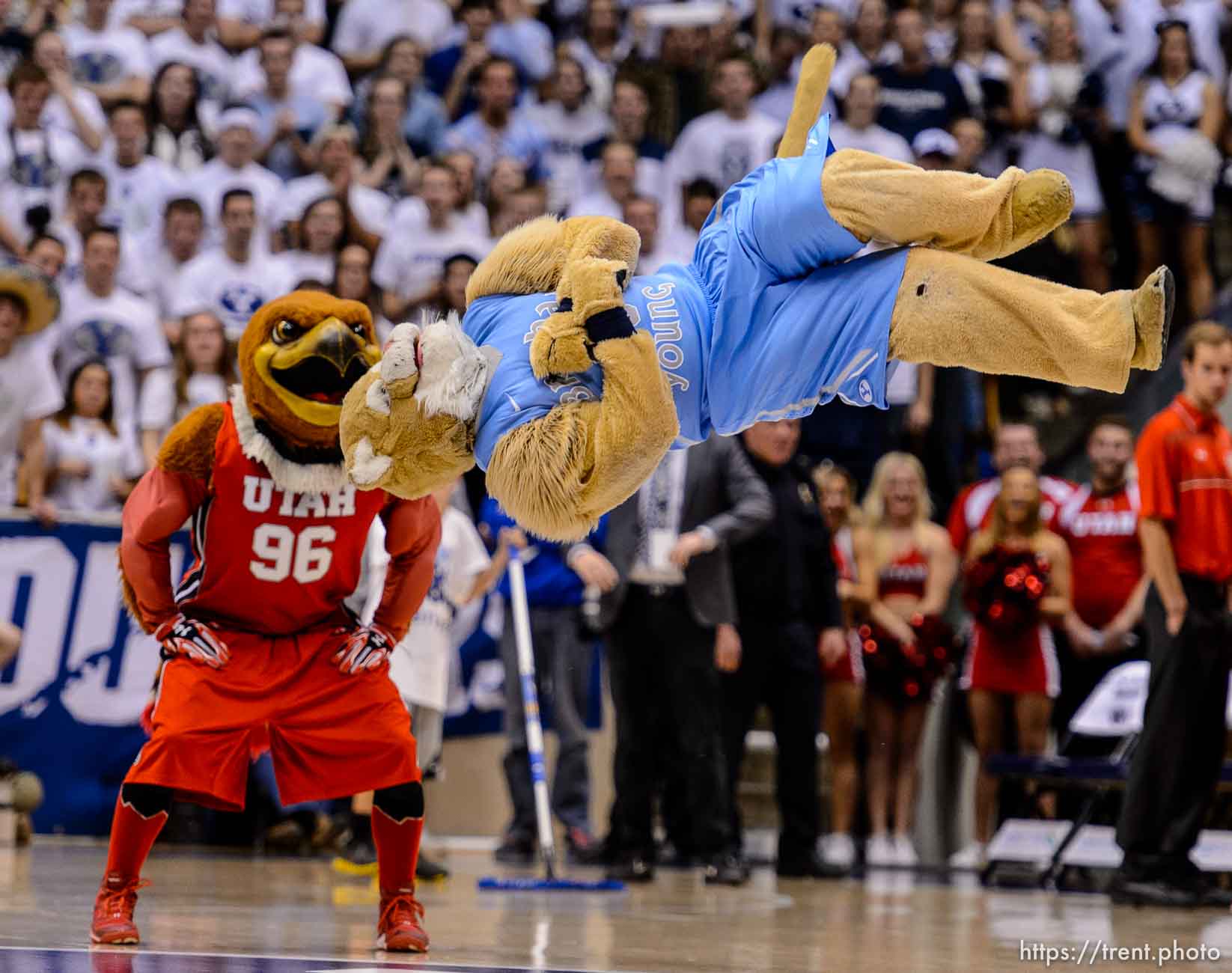 Trent Nelson  |  The Salt Lake Tribune
BYU mascot Cosmo and Utah mascot Swoop compete in a dance-off, as BYU hosts Utah, college basketball at the Marriott Center in Provo, Wednesday December 10, 2014.