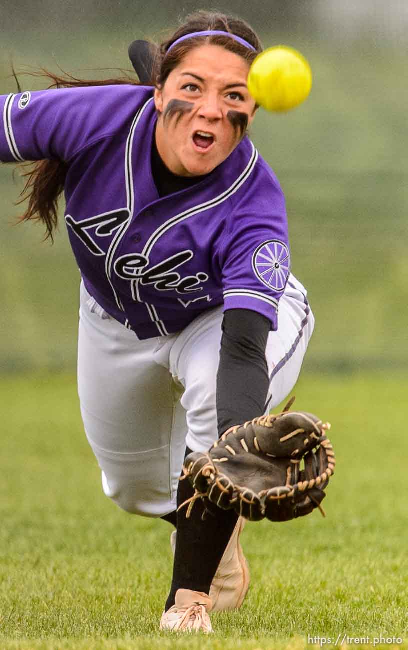 Trent Nelson  |  The Salt Lake Tribune
Lehi's Taylor Tahbo dives for a ball during a 5A softball tournament second-round game between defending champion Lehi and No. 1 seed Taylorsville, Thursday May 14, 2015.