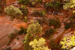 Trent Nelson  |  The Salt Lake Tribune
Hikers on the Canyon Overlook Trail, Zion National Park, Tuesday May 5, 2015.