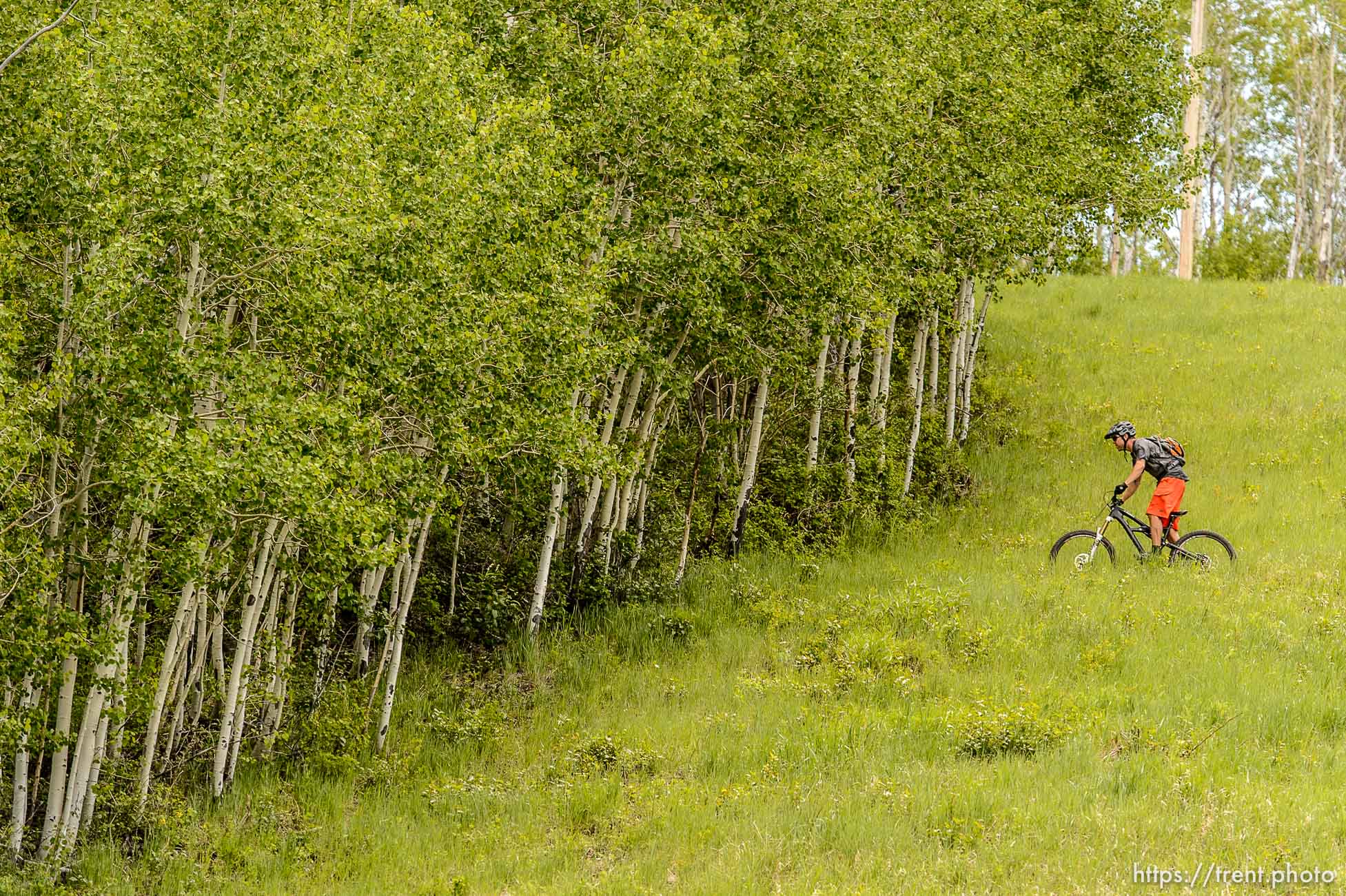 Trent Nelson  |  The Salt Lake Tribune
A mountain biker rides a trail at the Park City Mountain Resort, Saturday June 6, 2015.