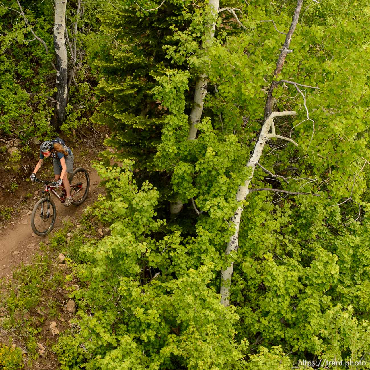 Trent Nelson  |  The Salt Lake Tribune
A mountain biker at the Park City Mountain Resort, Saturday June 6, 2015.