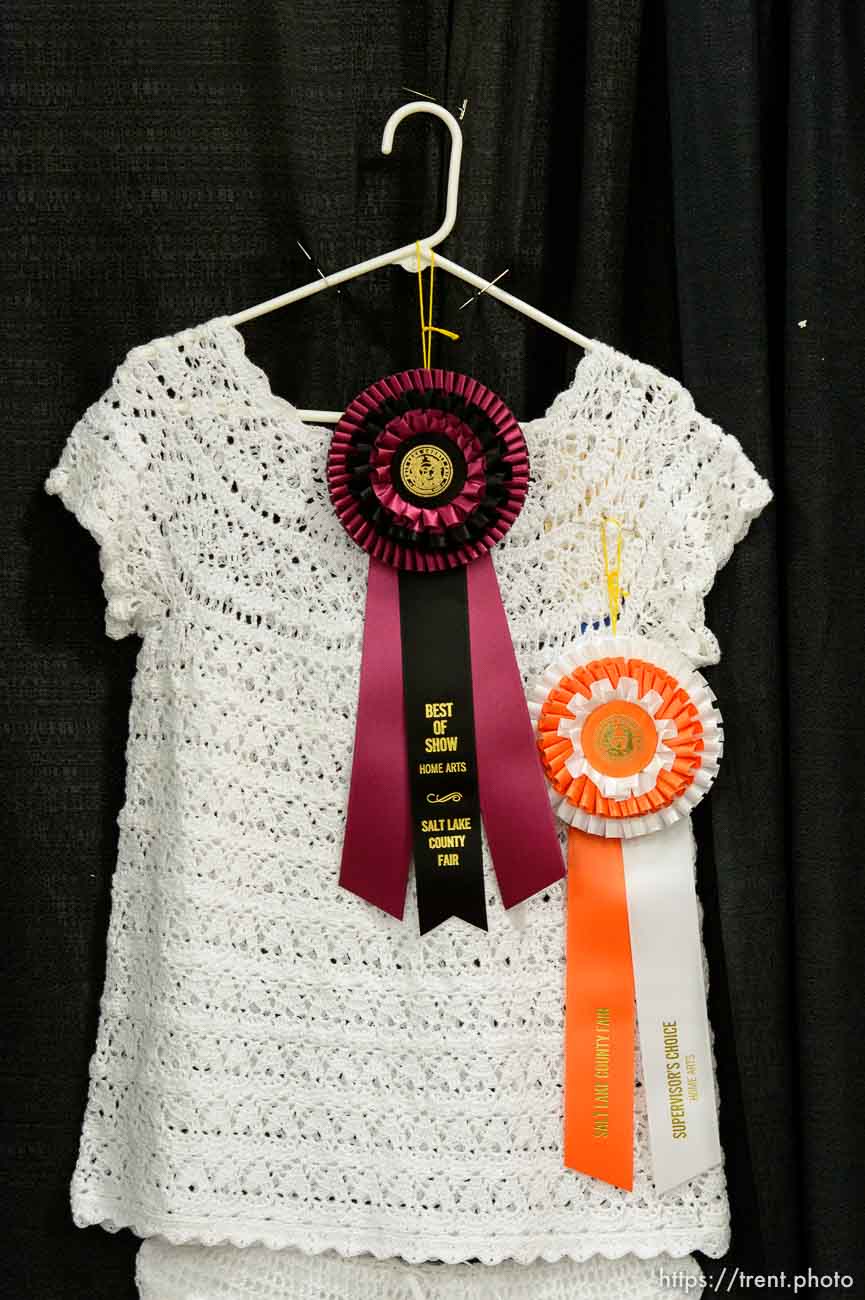 Trent Nelson  |  The Salt Lake Tribune
A prizewinner in the Home Arts, on display at the Salt Lake County Fair in South Jordan, Wednesday August 12, 2015. The fair opened Wednesday, celebrating its 79th year with events, rides, exhibitions and activities designed to be “fun for the whole herd.”