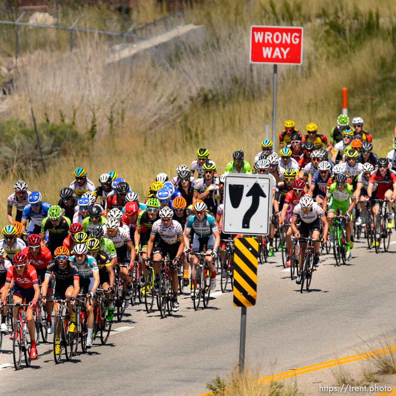 Trent Nelson  |  The Salt Lake Tribune
The peloton enters Weber County at Rocky Point during the Tour of Utah's second stage, Tuesday August 4, 2015.