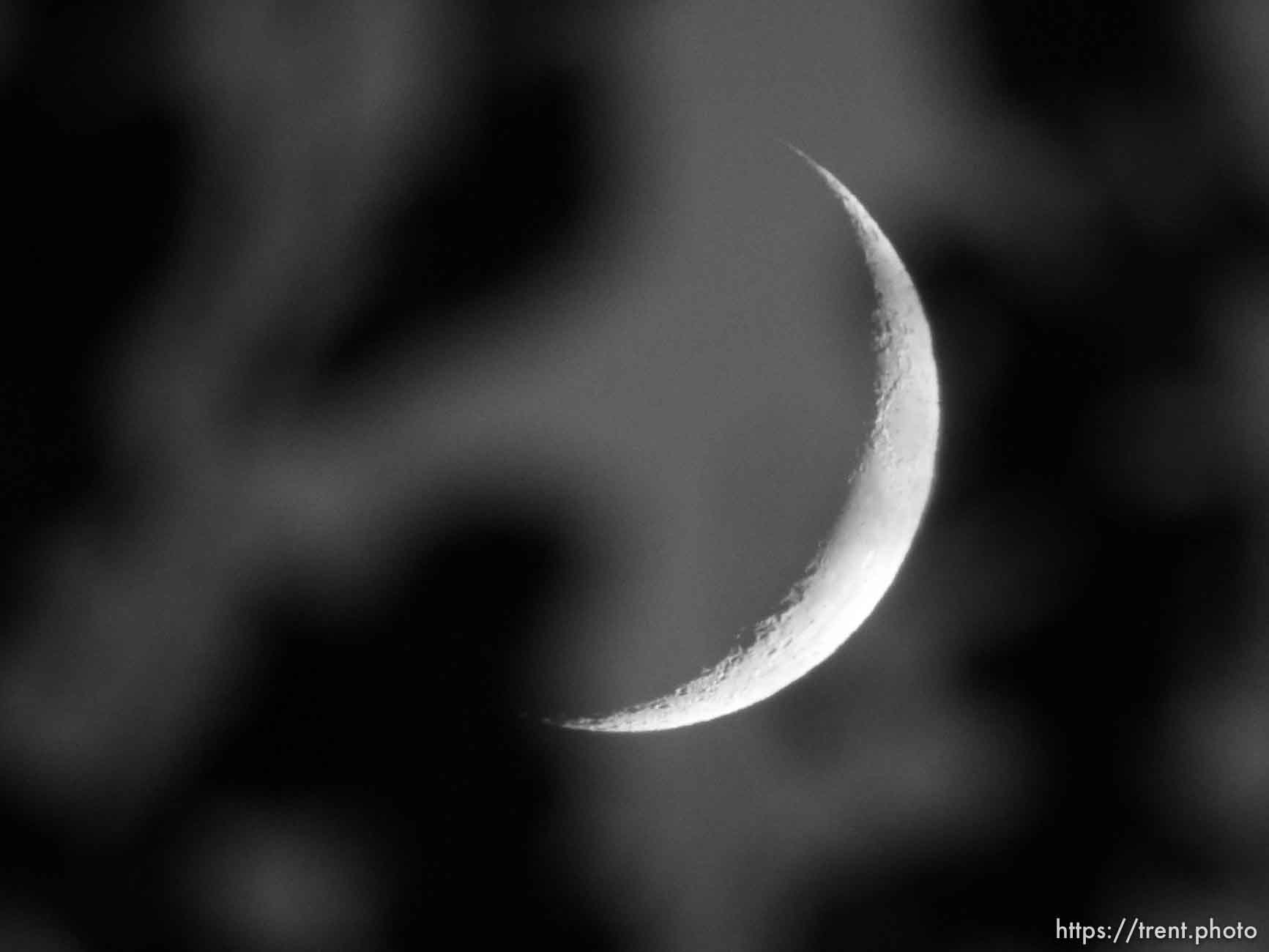 Crescent Moon