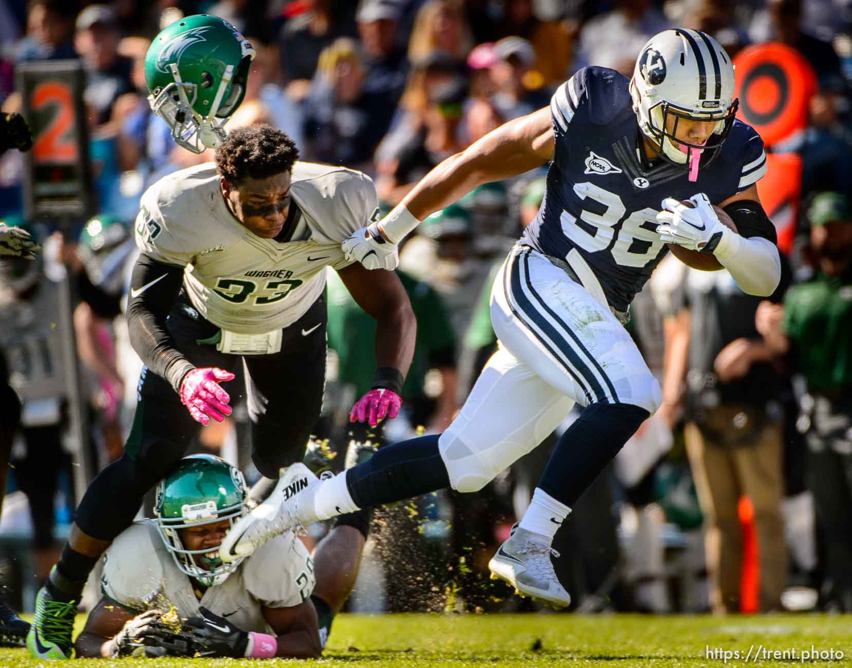 Trent Nelson  |  The Salt Lake Tribune
Brigham Young Cougars running back Francis Bernard (36) runs away from Wagner Seahawks linebacker Stephon Font-Toomer (33) as BYU hosts Wagner, NCAA football at LaVell Edwards Stadium in Provo, Saturday October 24, 2015.