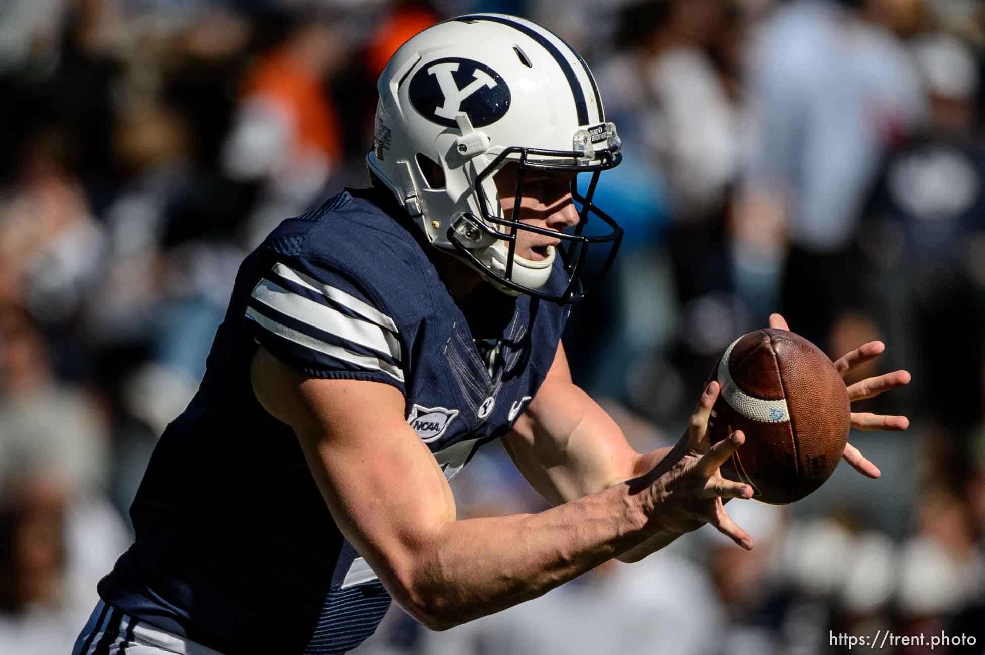 Trent Nelson  |  The Salt Lake Tribune
Brigham Young Cougars quarterback Beau Hoge (7) takes a snap as BYU hosts Wagner, NCAA football at LaVell Edwards Stadium in Provo, Saturday October 24, 2015.