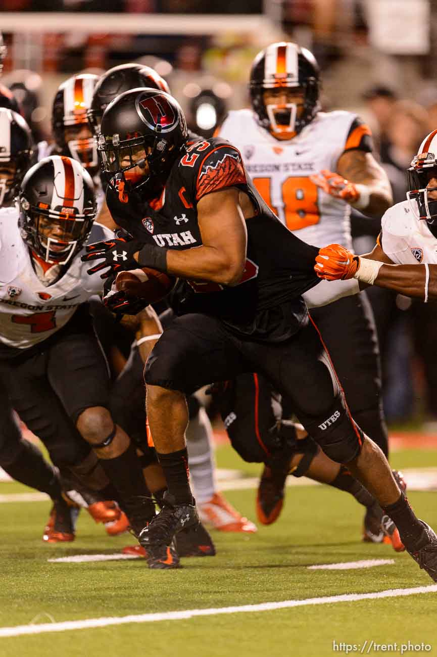 Trent Nelson  |  The Salt Lake Tribune
Utah Utes running back Devontae Booker (23) runs the ball as the University of Utah hosts Oregon State, NCAA football at Rice-Eccles Stadium in Salt Lake City, Saturday October 31, 2015.