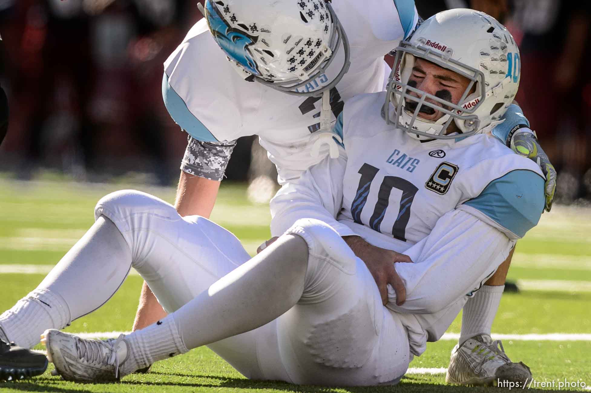 Trent Nelson  |  The Salt Lake Tribune
Sky View quarterback Garrison Beach (10) grimaces in pain after fumbling the ball, as Sky View faces Herriman in a 5A high school football semifinal game at Rice-Eccles Stadium in Salt Lake City, Friday November 13, 2015.