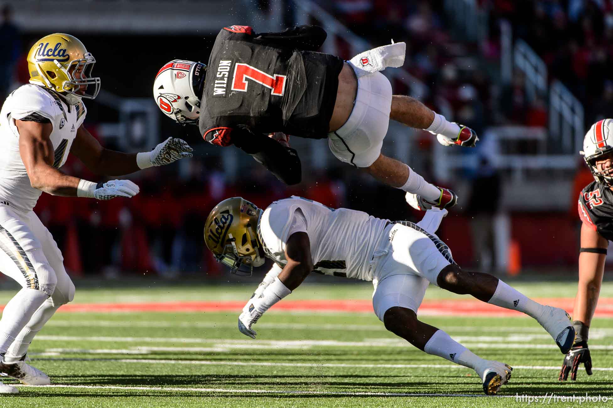 Trent Nelson  |  The Salt Lake Tribune
Utah Utes quarterback Travis Wilson (7) flips over UCLA Bruins defensive back Tahaan Goodman (21) as the University of Utah hosts UCLA, NCAA football at Rice-Eccles Stadium in Salt Lake City, Saturday November 21, 2015.