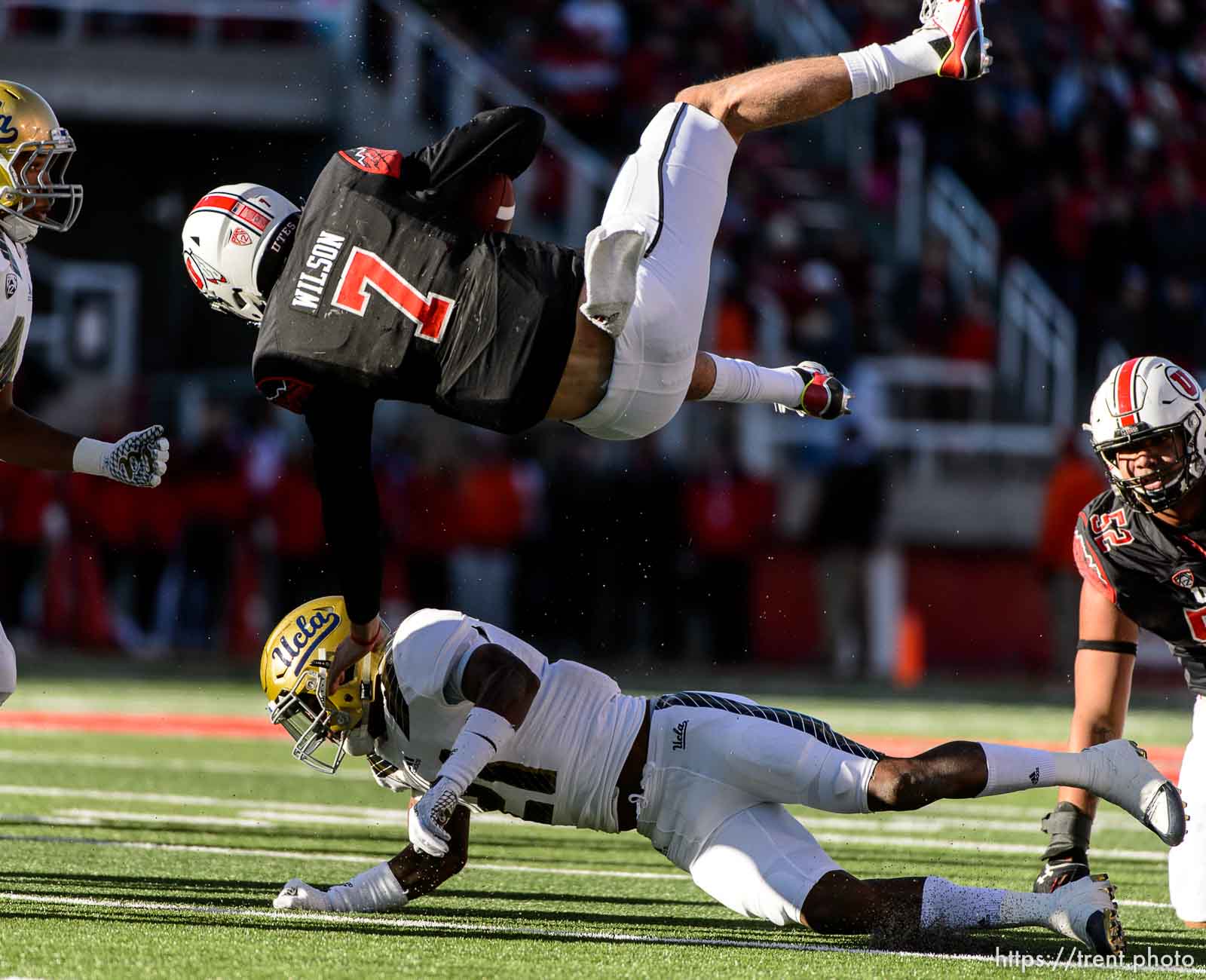 Trent Nelson  |  The Salt Lake Tribune
Utah Utes quarterback Travis Wilson (7) flips over UCLA Bruins defensive back Tahaan Goodman (21) as the University of Utah hosts UCLA, NCAA football at Rice-Eccles Stadium in Salt Lake City, Saturday November 21, 2015.