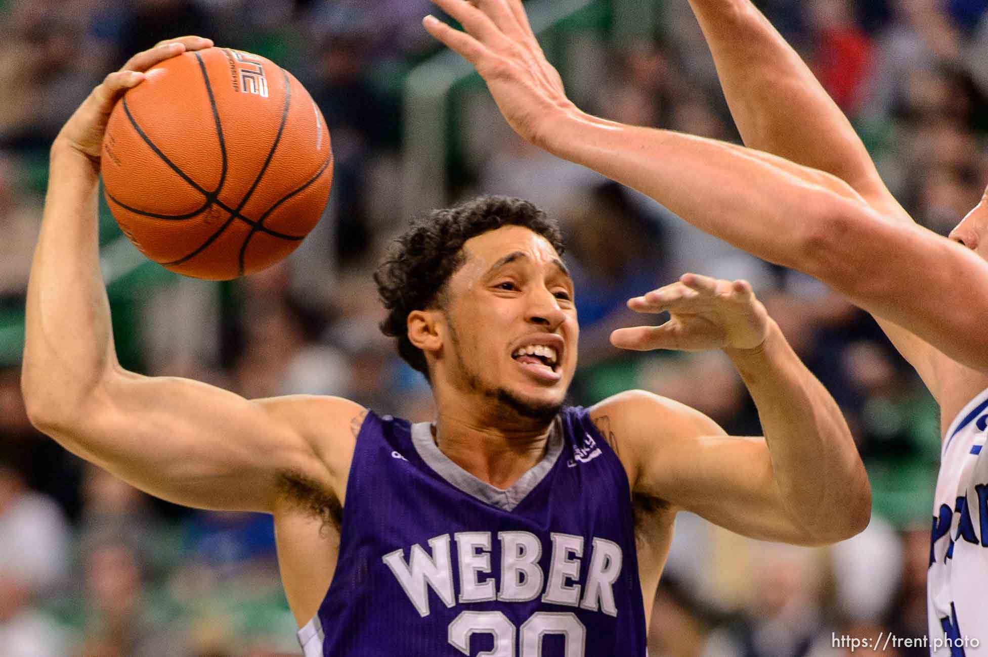 Trent Nelson  |  The Salt Lake Tribune
Weber State's Jeremy Singling drives on BYU's Corbin Kaufusi, as BYU faces Weber State, NCAA basketball at Vivant Smart Home Arena in Salt Lake City, Saturday December 5, 2015.