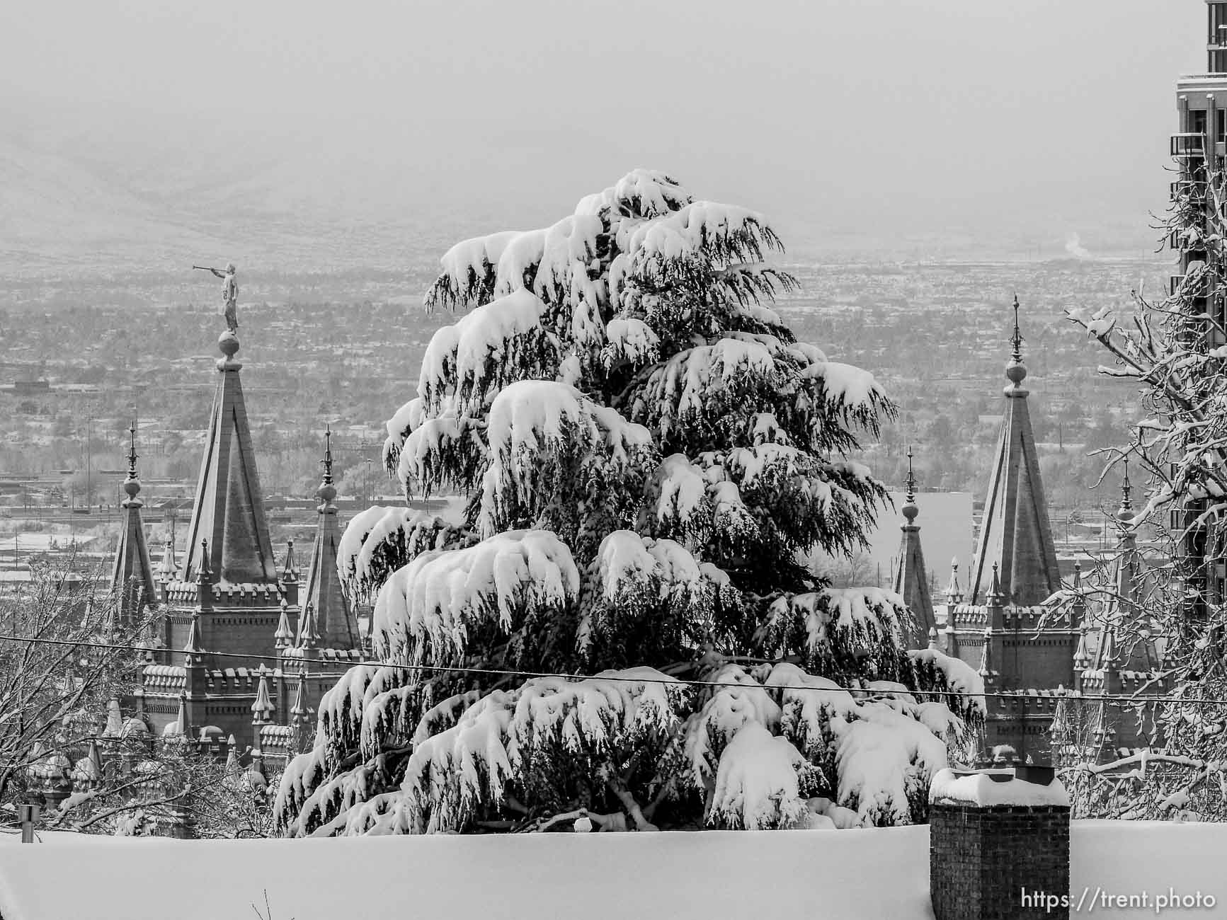 Trent Nelson  |  The Salt Lake Tribune
lds temple, Snowfall in Salt Lake City, Tuesday December 15, 2015.