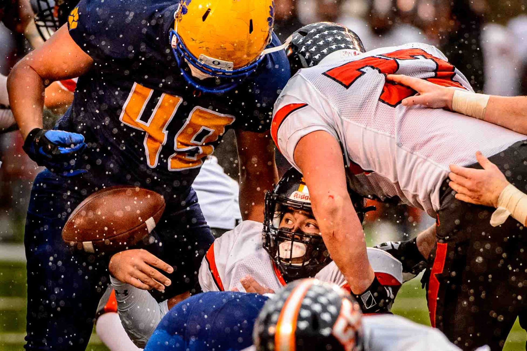 (Trent Nelson | The Salt Lake Tribune)  Mountain Crest's Brady Hall (1) watches the ball fall out of his hands with Orem's William Tenney (49) standing over him as Orem faces Mountain Crest in the Class 4A High School State Football Championship game in Salt Lake City, Friday November 17, 2017.