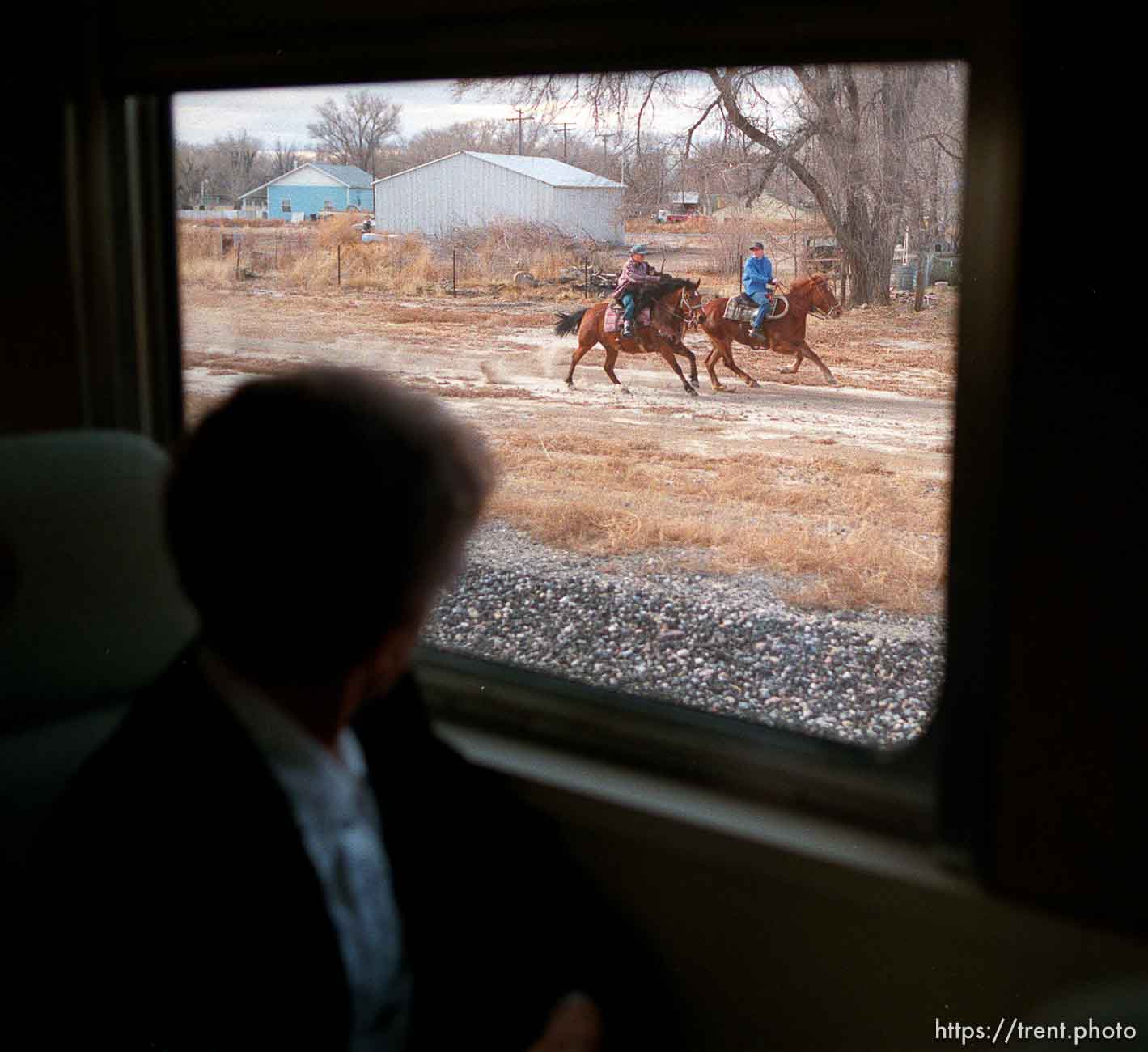 Horses chase the Governor's Centennial Train