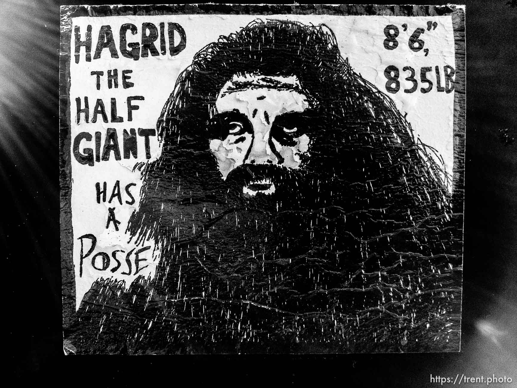 Hagrid the Half Giant has a Posse