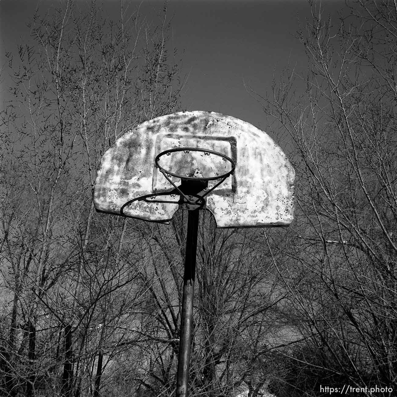 basketball hoop