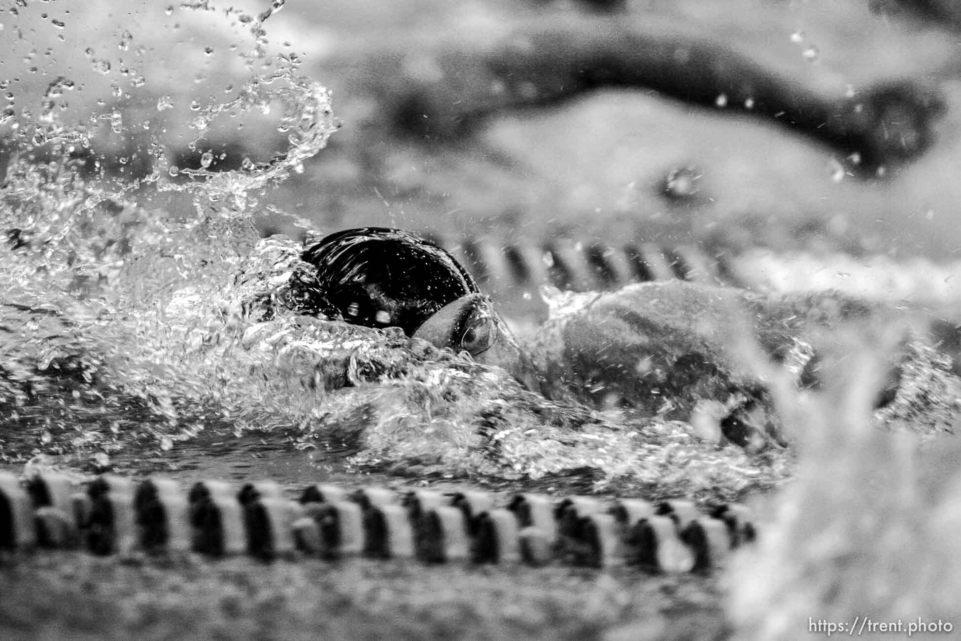 Trent Nelson  |  The Salt Lake Tribune
 at the Utah State 4A Swimming Championships at BYU in Provo, Utah, Saturday, February 5, 2011.