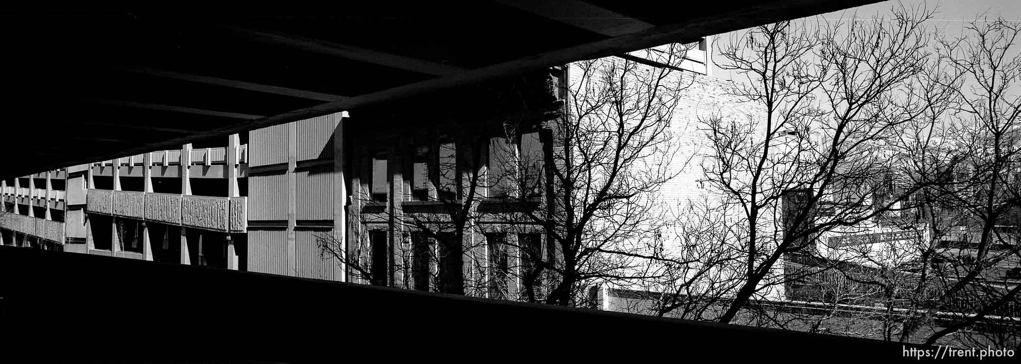 View of buildings and trees from parking garage.