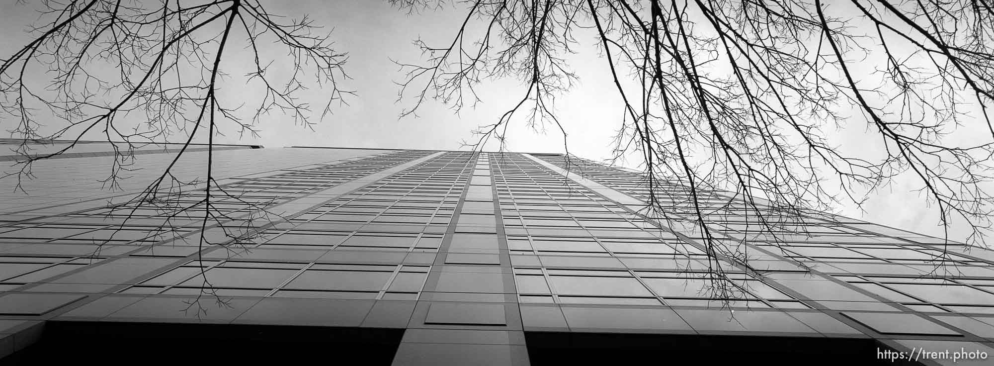 American Stores building and trees