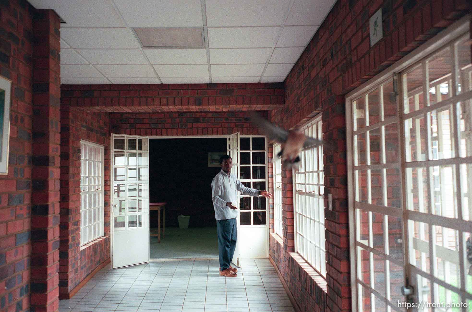 Selby Bulunga prior to catching a pigeon with his bare hands in the Dobsonville LDS chapel.