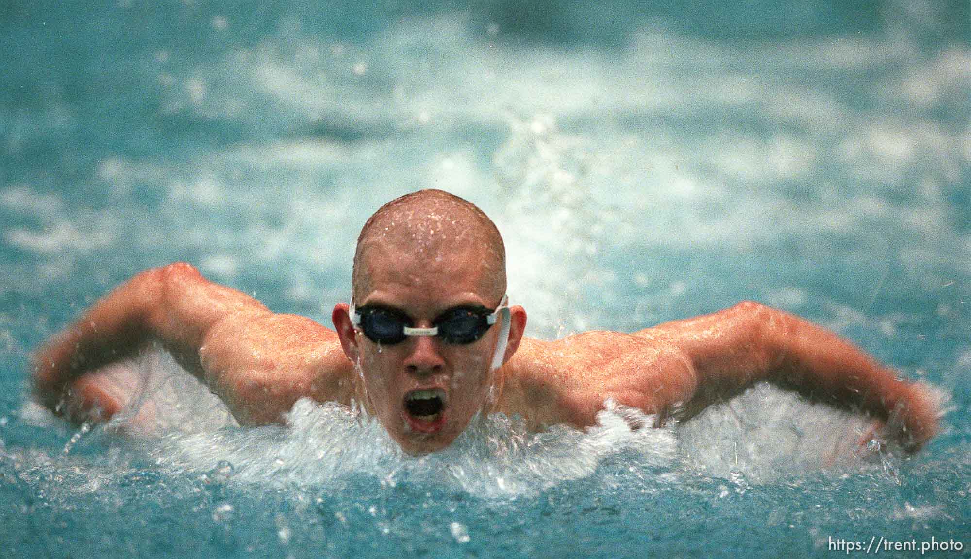 Viewmont's Matt Ethington competing in the 100 meter fly at the 5A high school swimming finals.