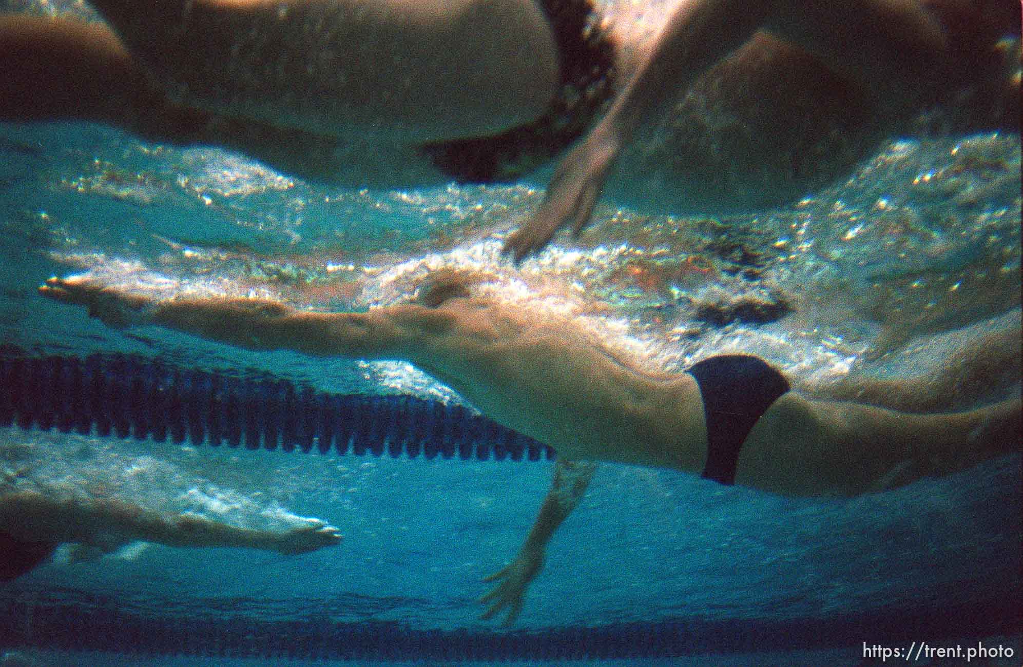 Swimmers warm up at the 5A high school swimming finals (shot from an underwater window).